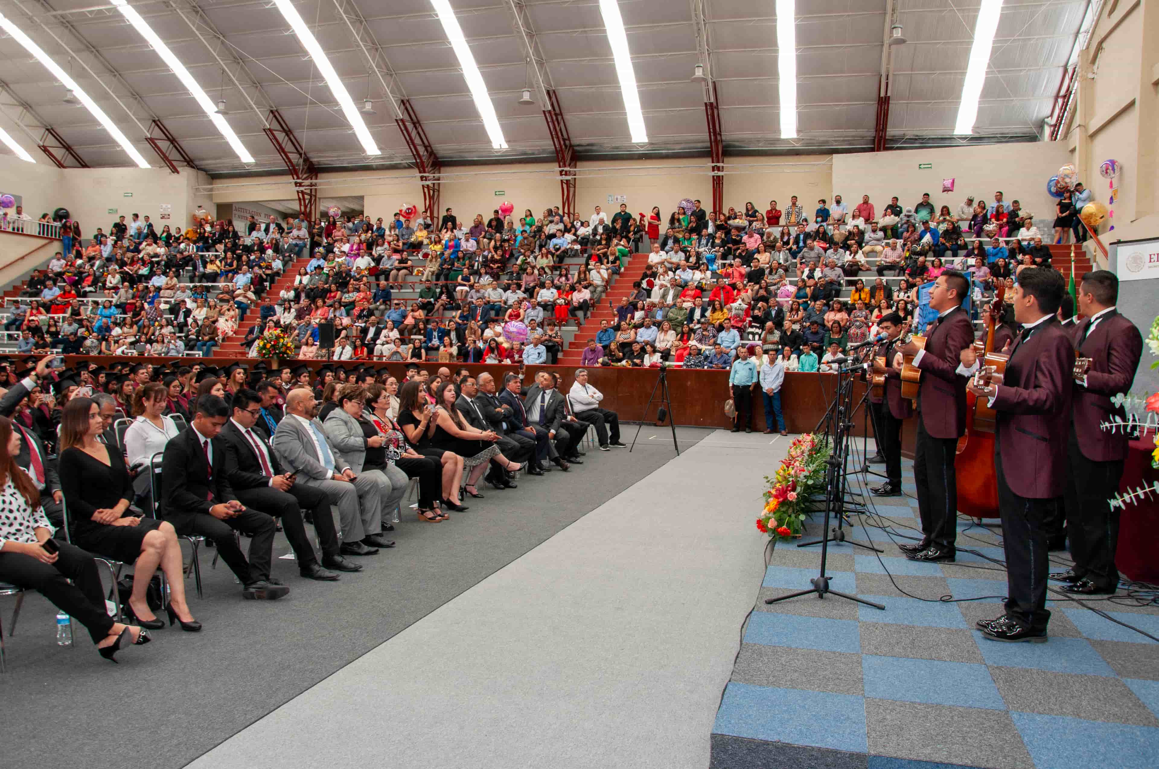 Imagen 11 de artículo