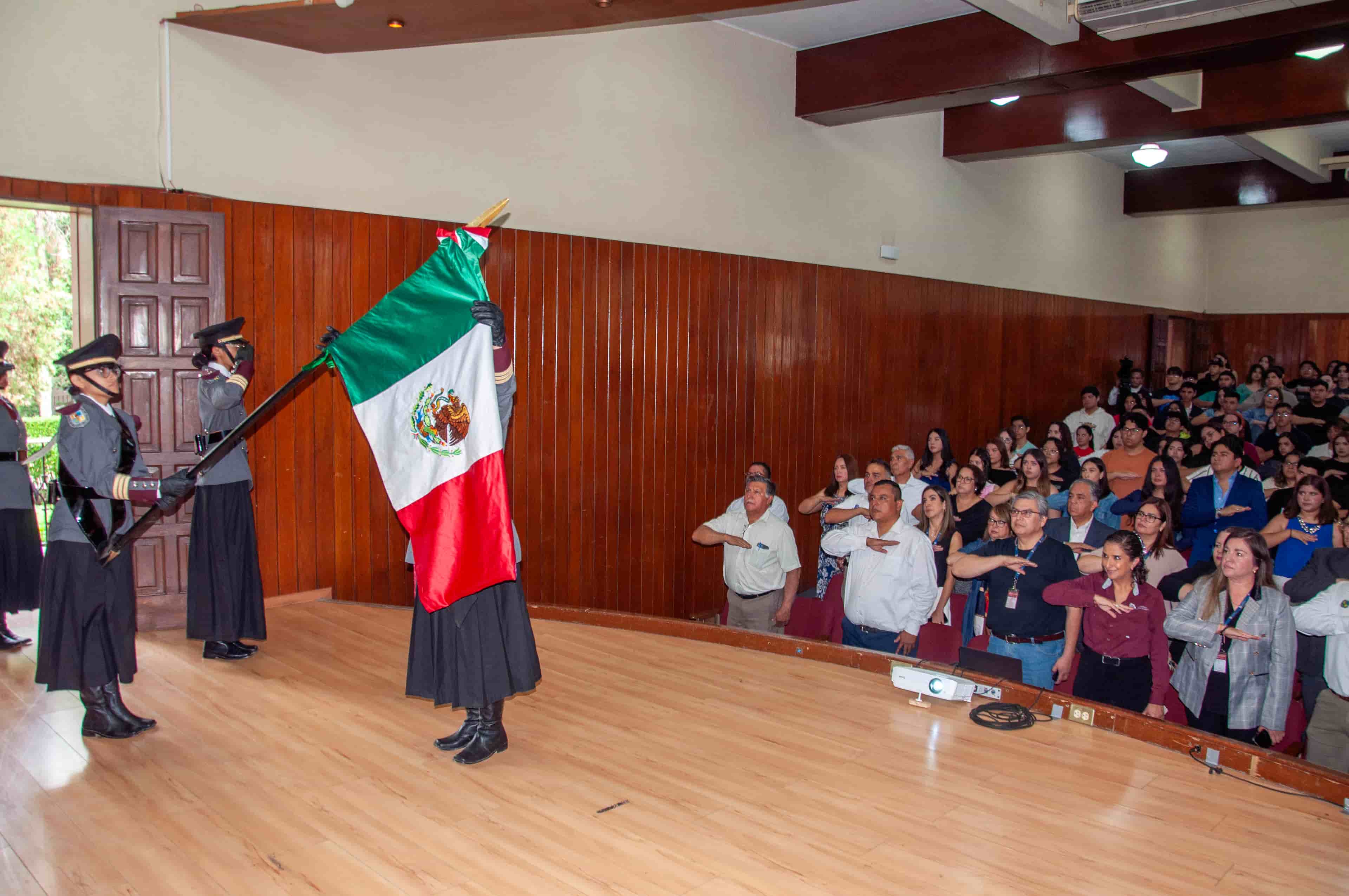 Imagen 2 de artículo