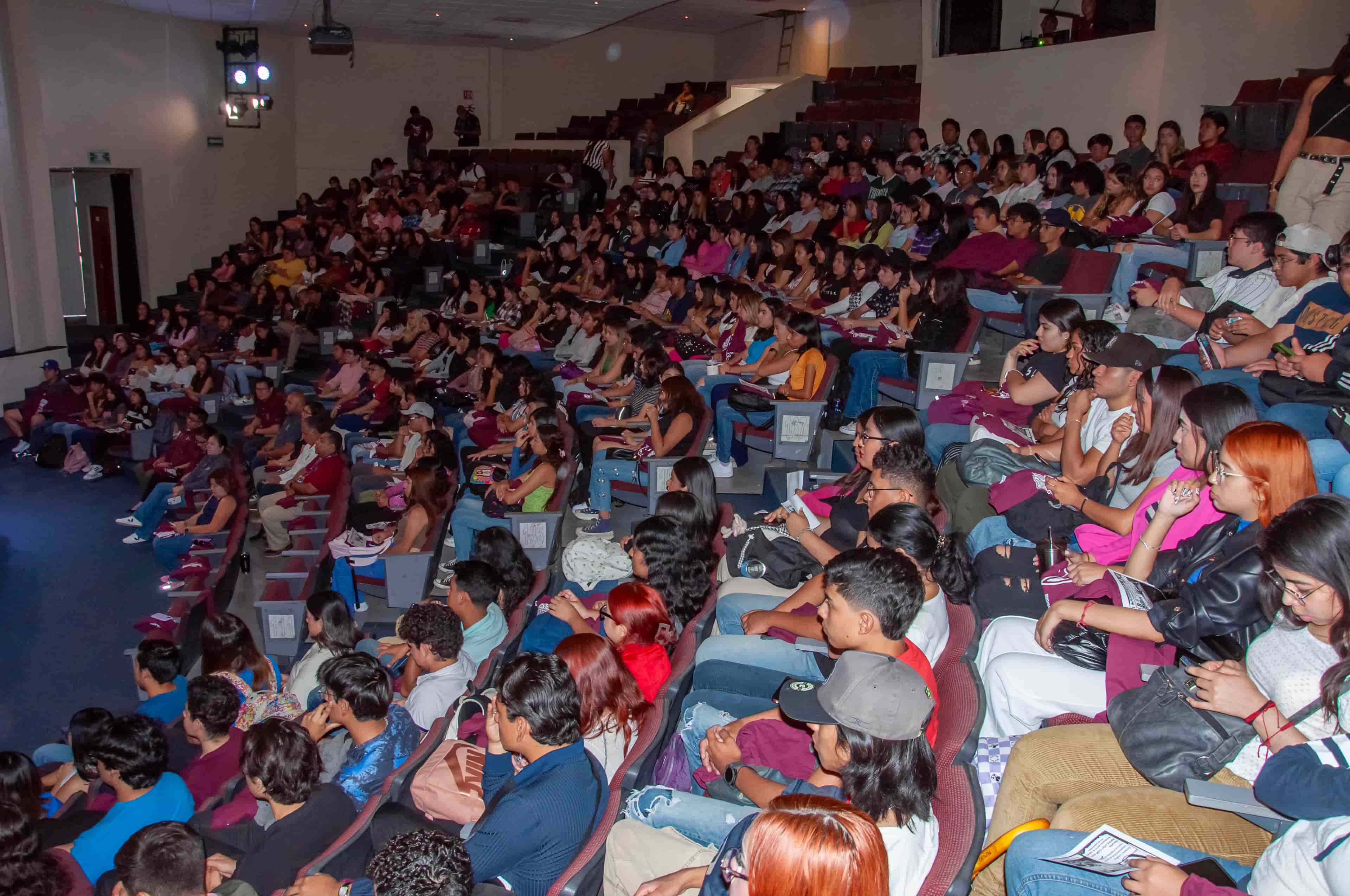 Imagen 2 de artículo