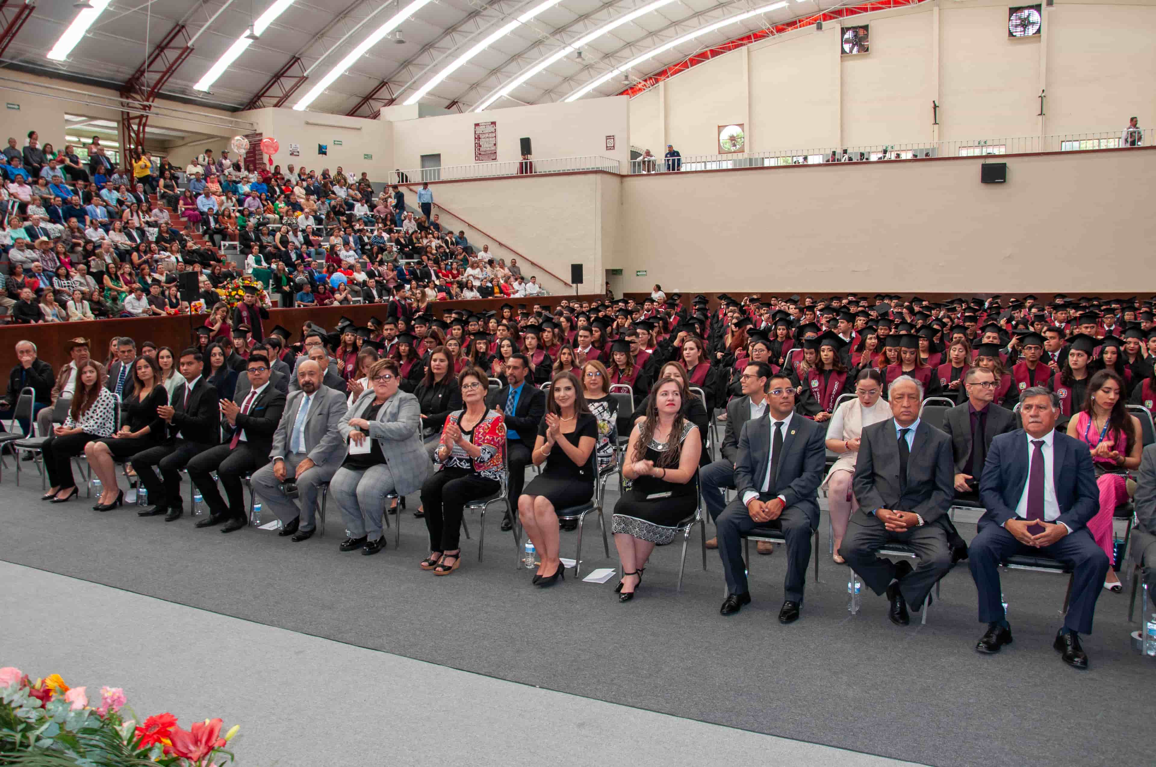 Imagen 2 de artículo