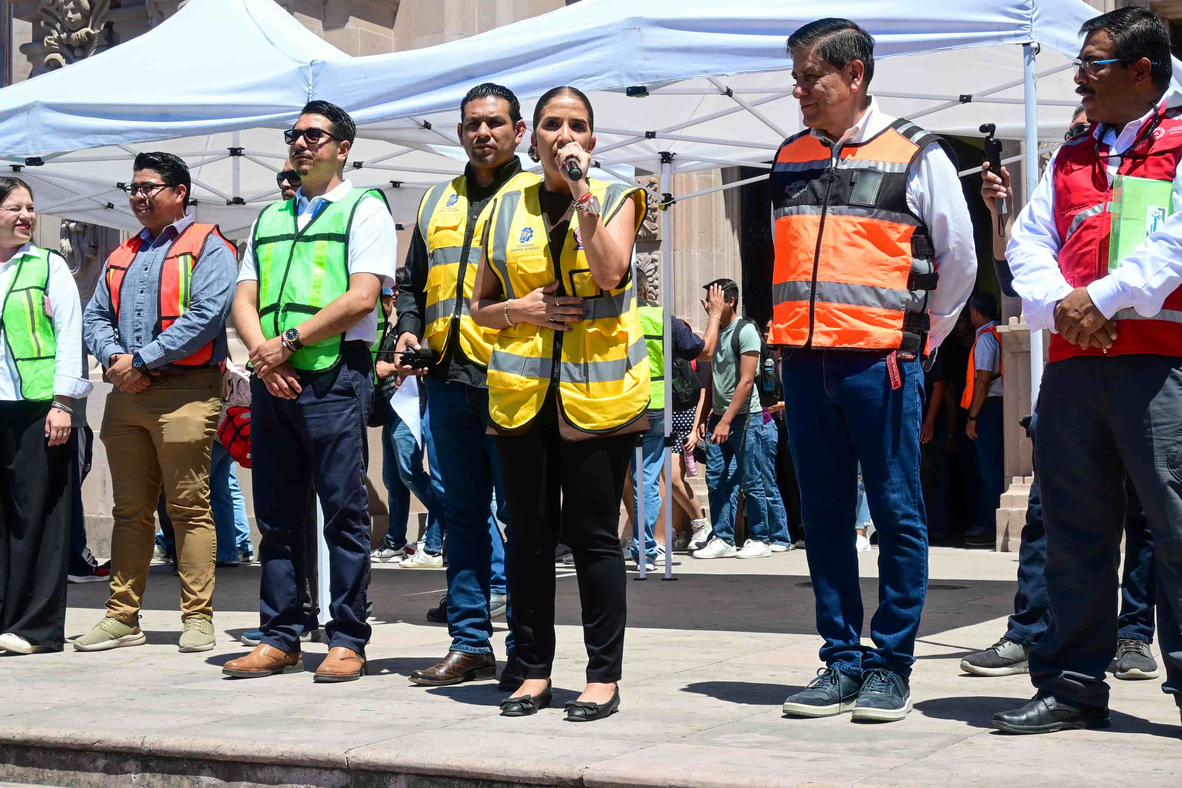 Imagen 13 de artículo