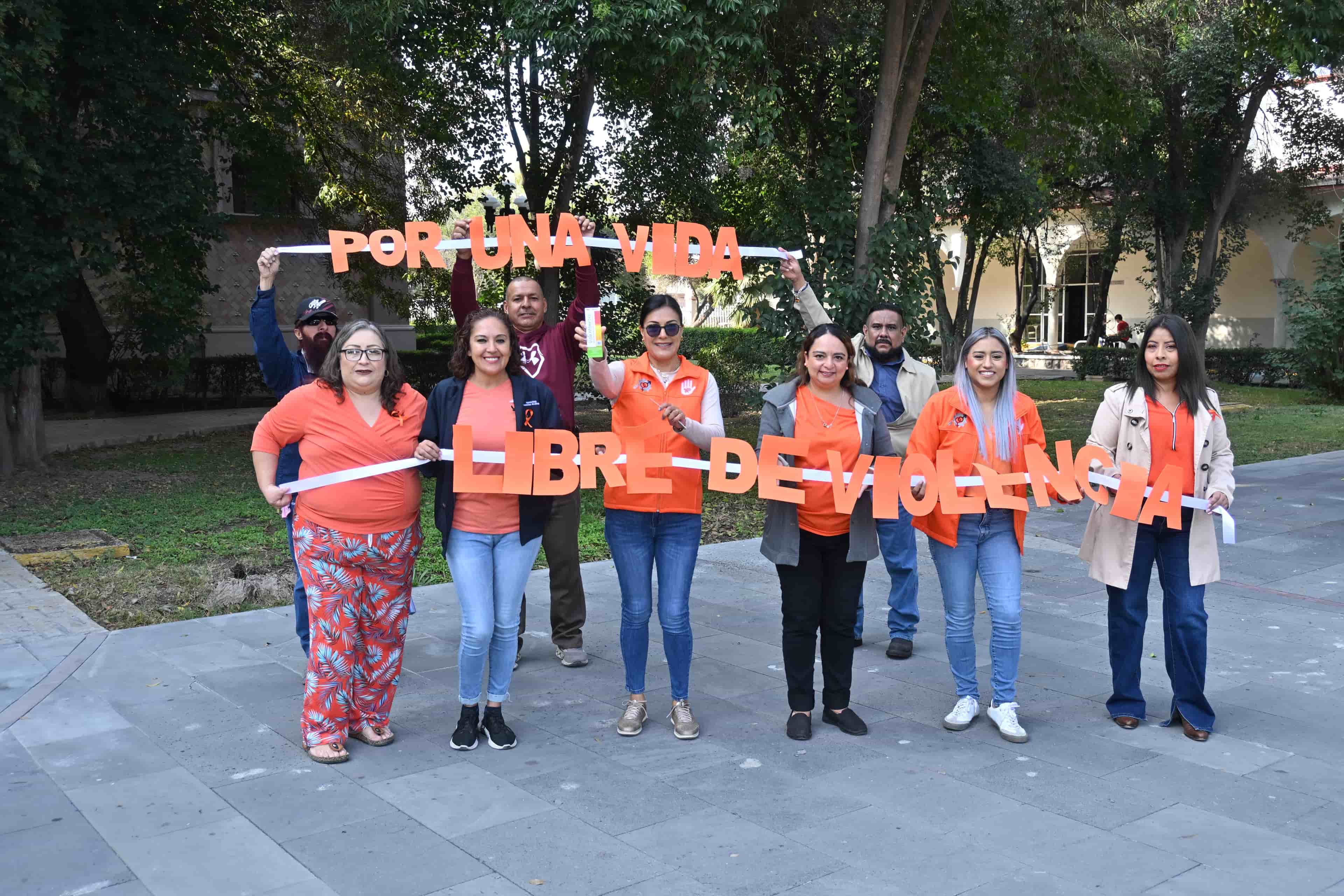 Imagen 7 de artículo
