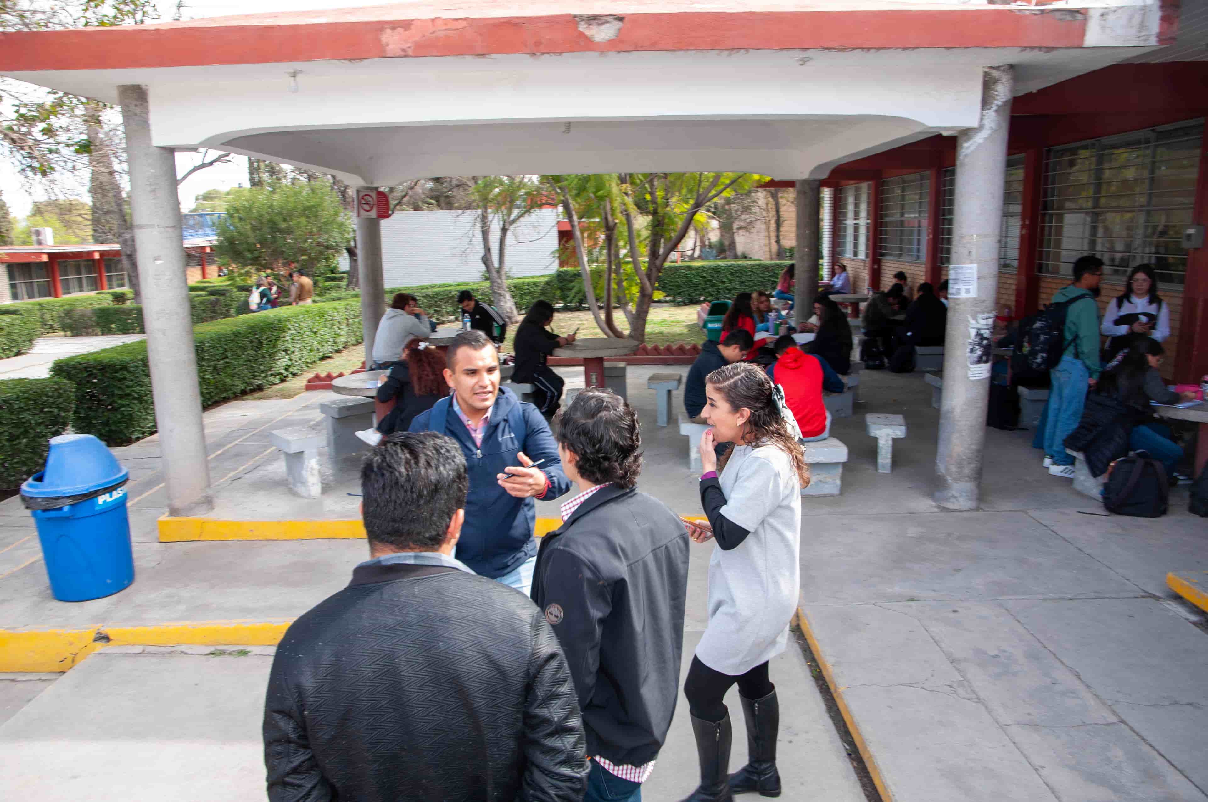 Imagen 6 de artículo