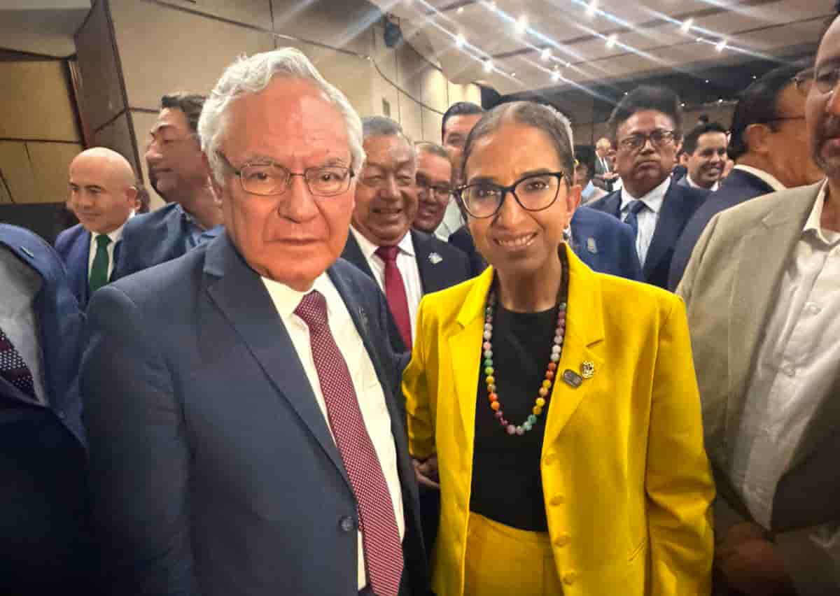 Imagen 2 de artículo