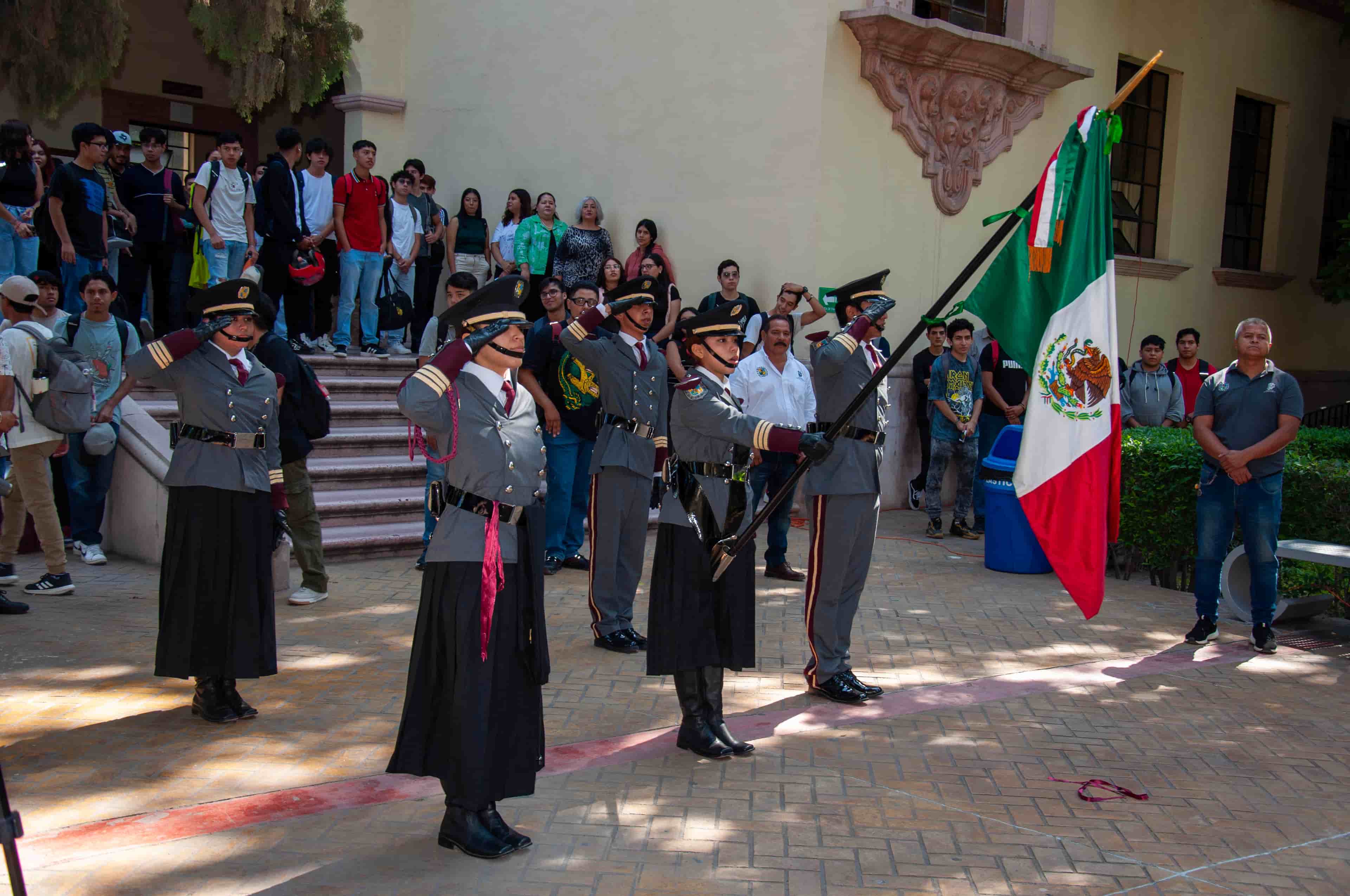 Imagen 1 de artículo