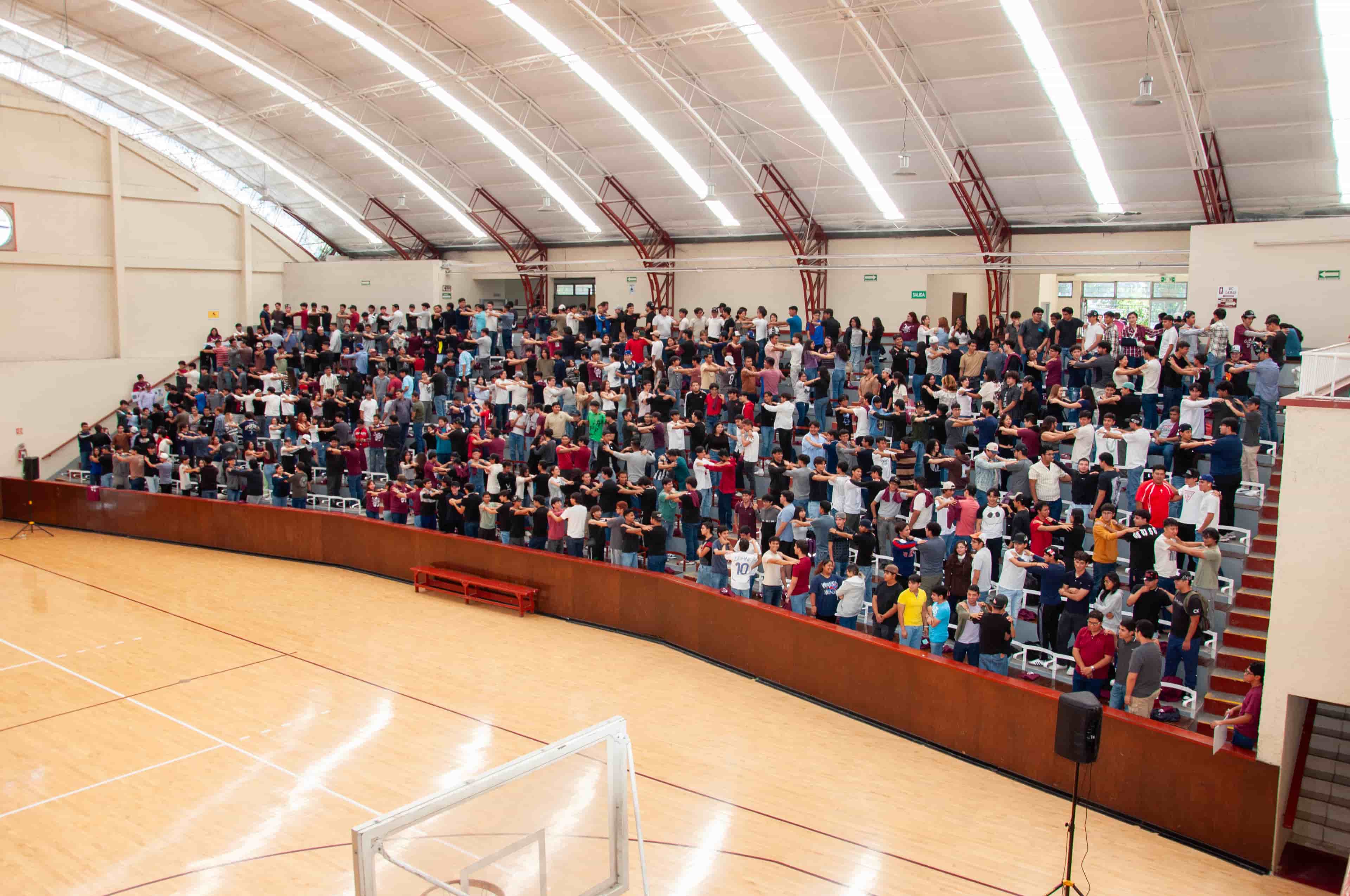 Imagen 3 de artículo