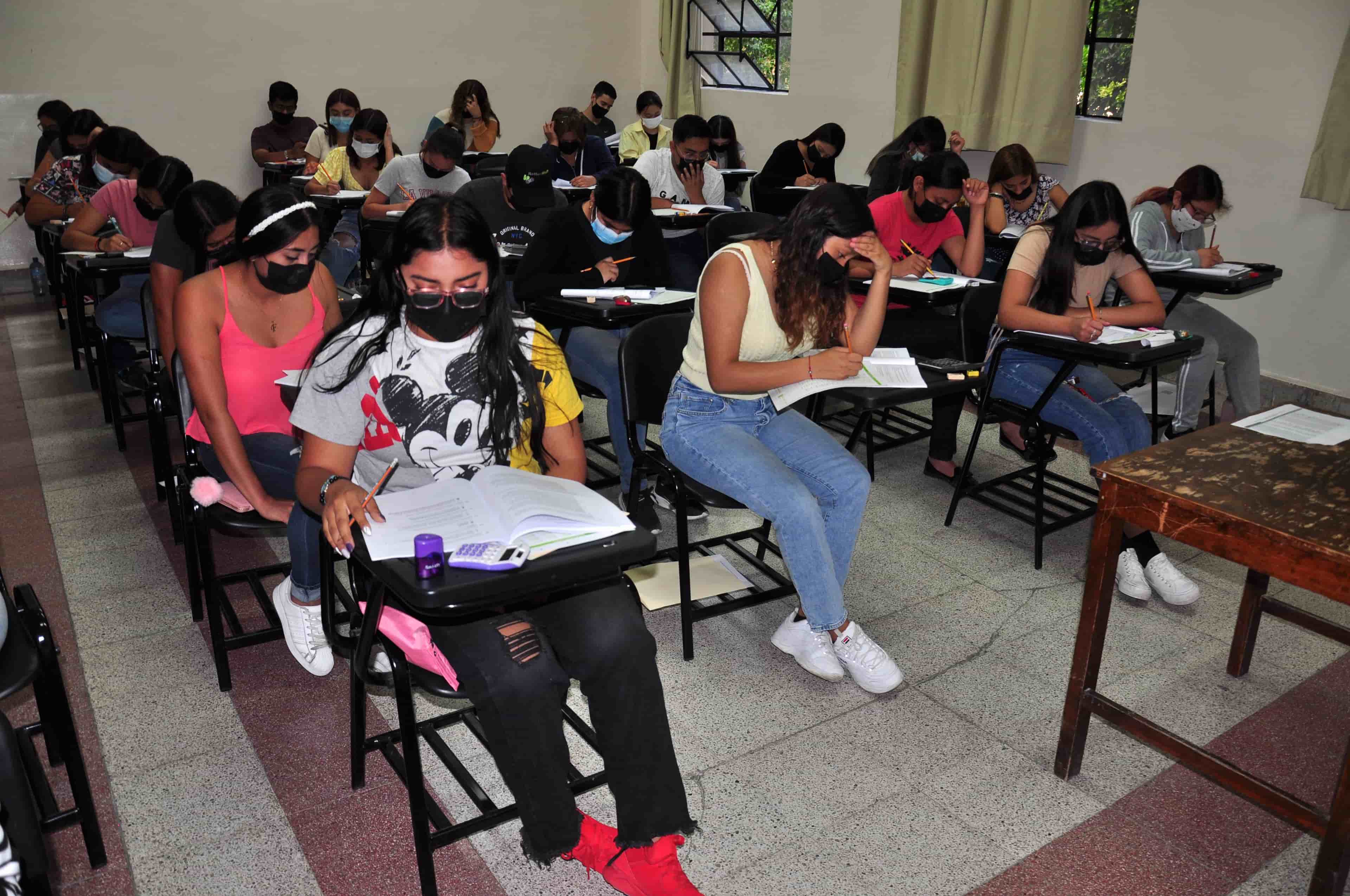 Imagen 8 de artículo