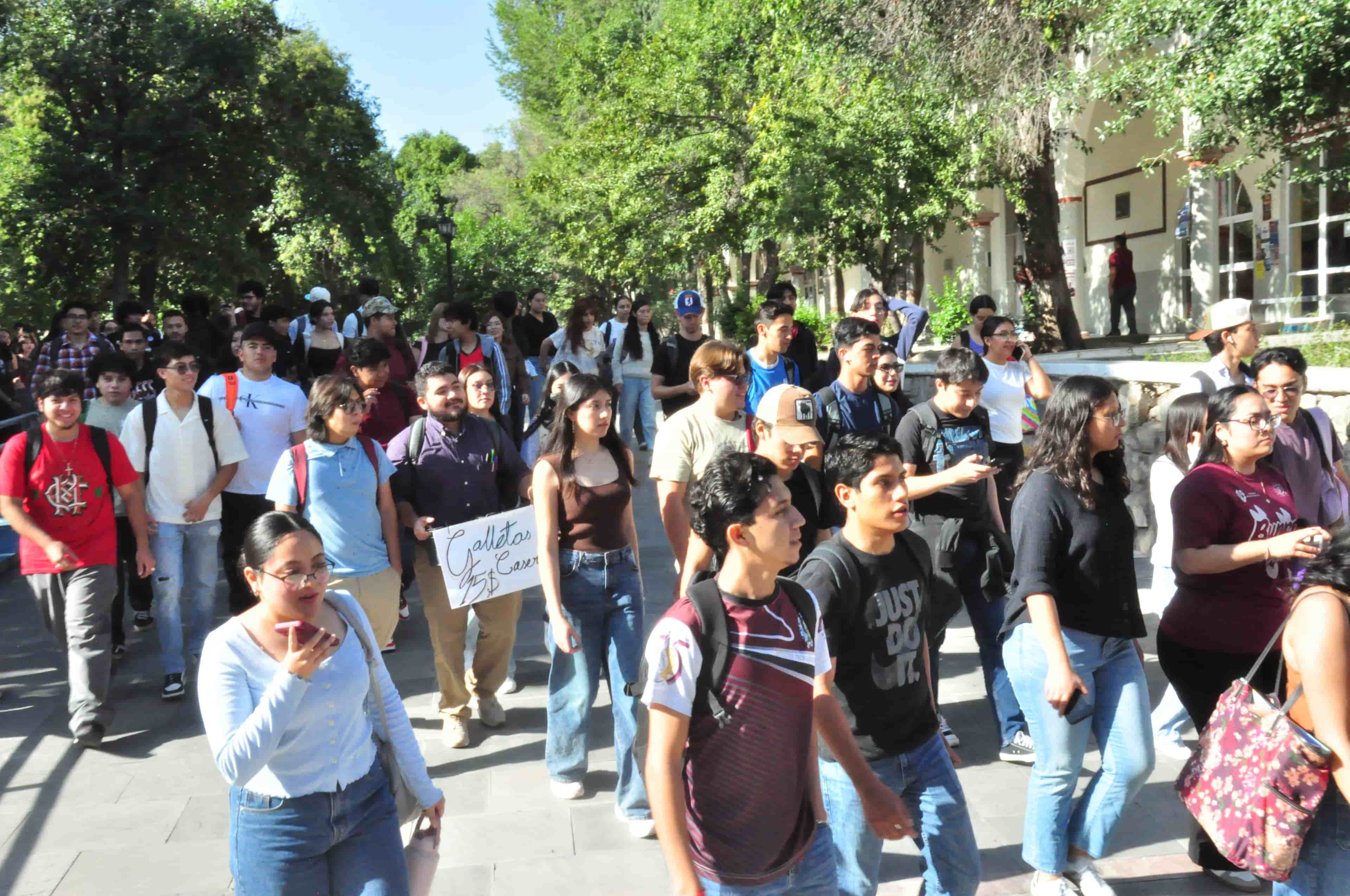 Imagen 8 de artículo