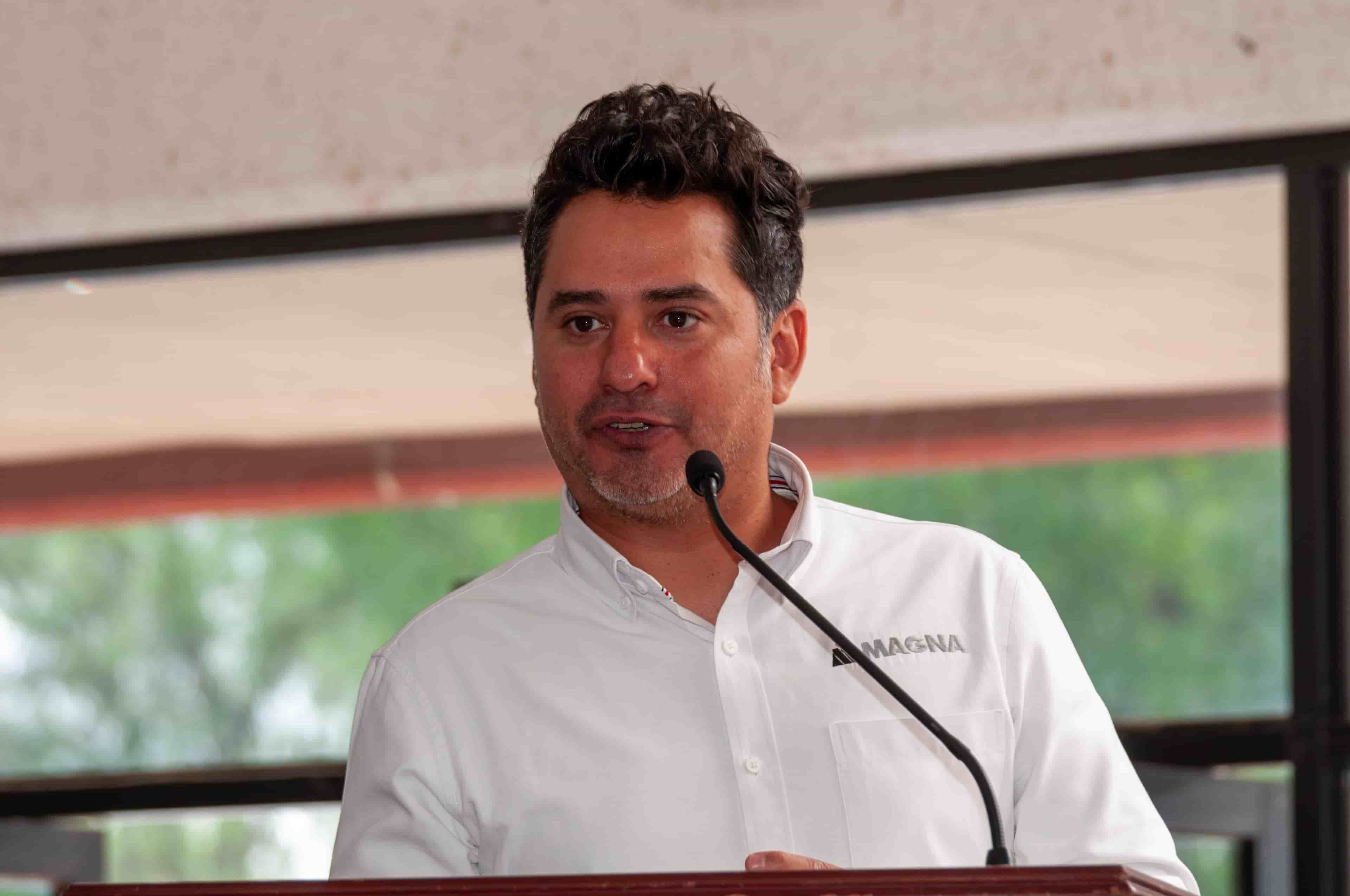 Imagen 3 de artículo