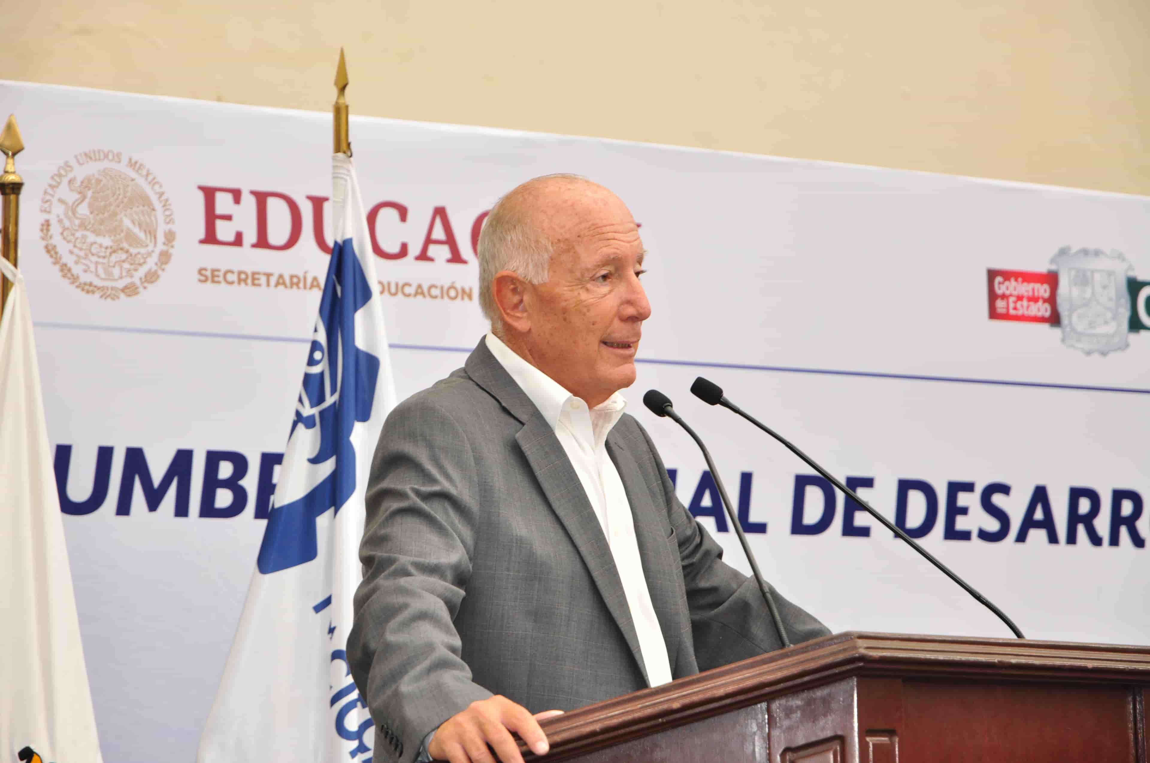Imagen 24 de artículo