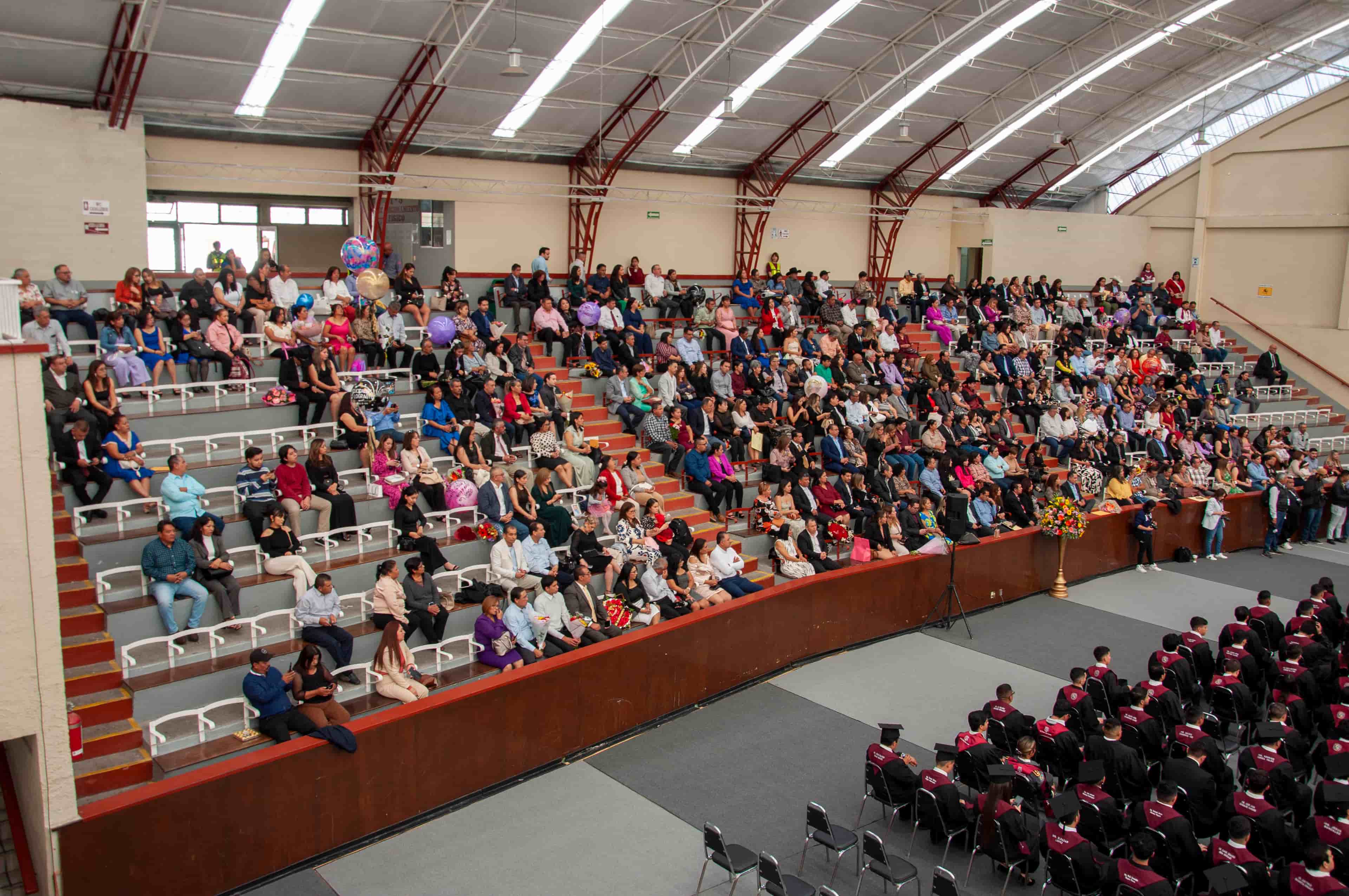 Imagen 6 de artículo