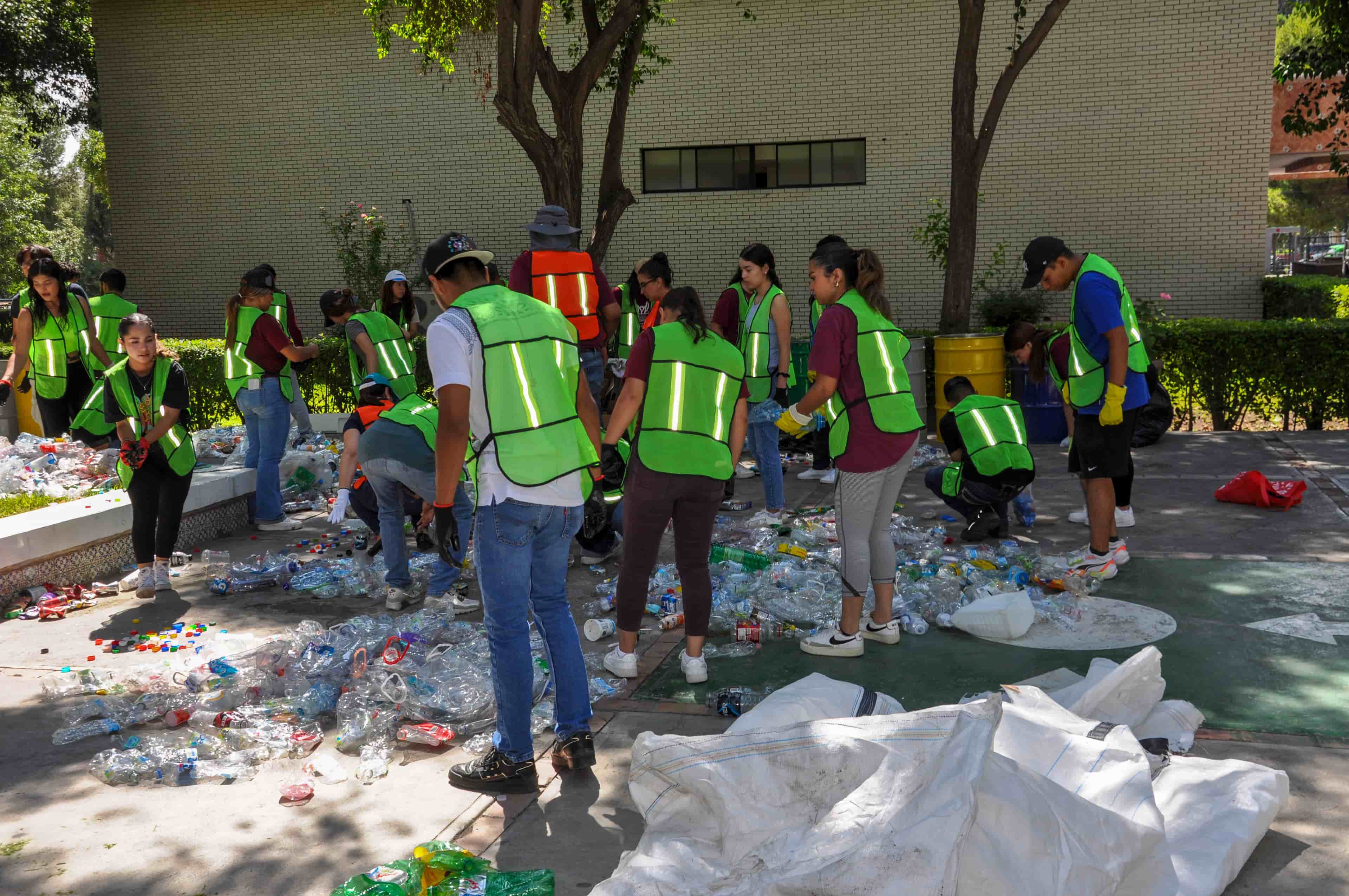 Imagen 3 de artículo