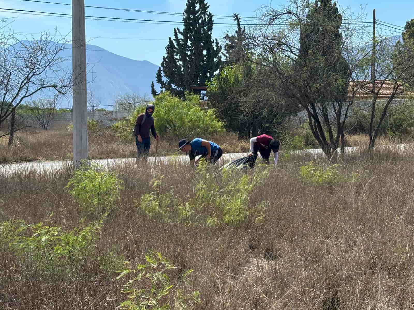 Imagen 2 de artículo