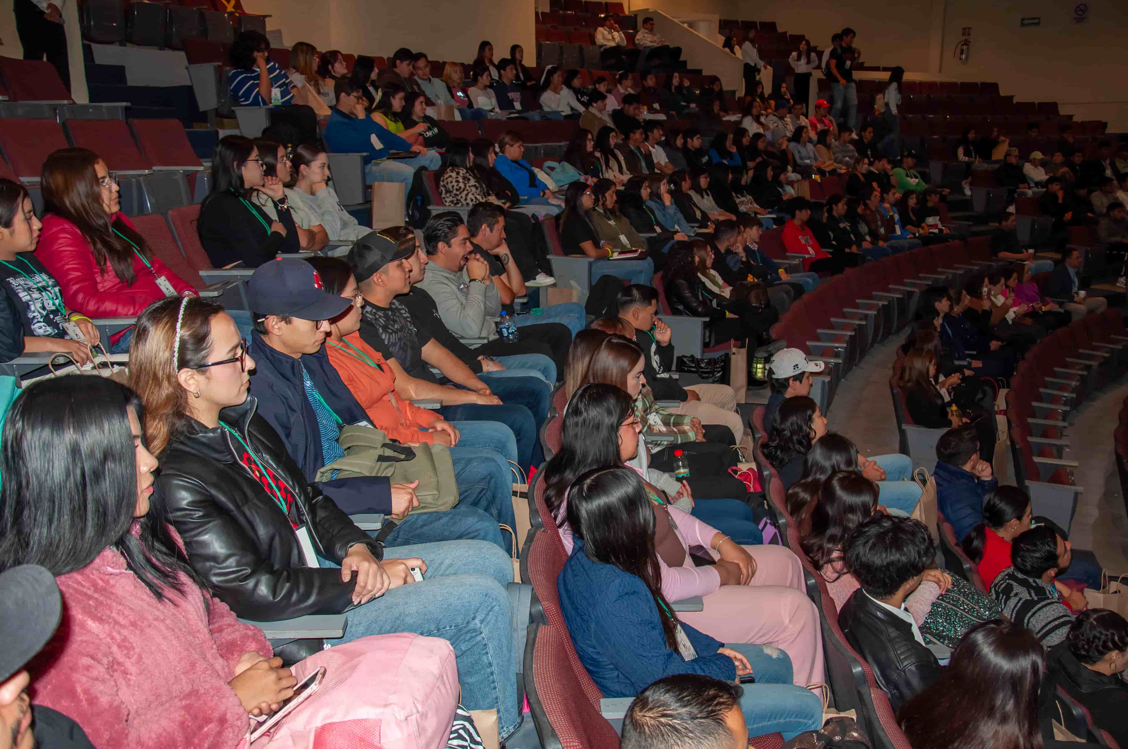 Imagen 5 de artículo