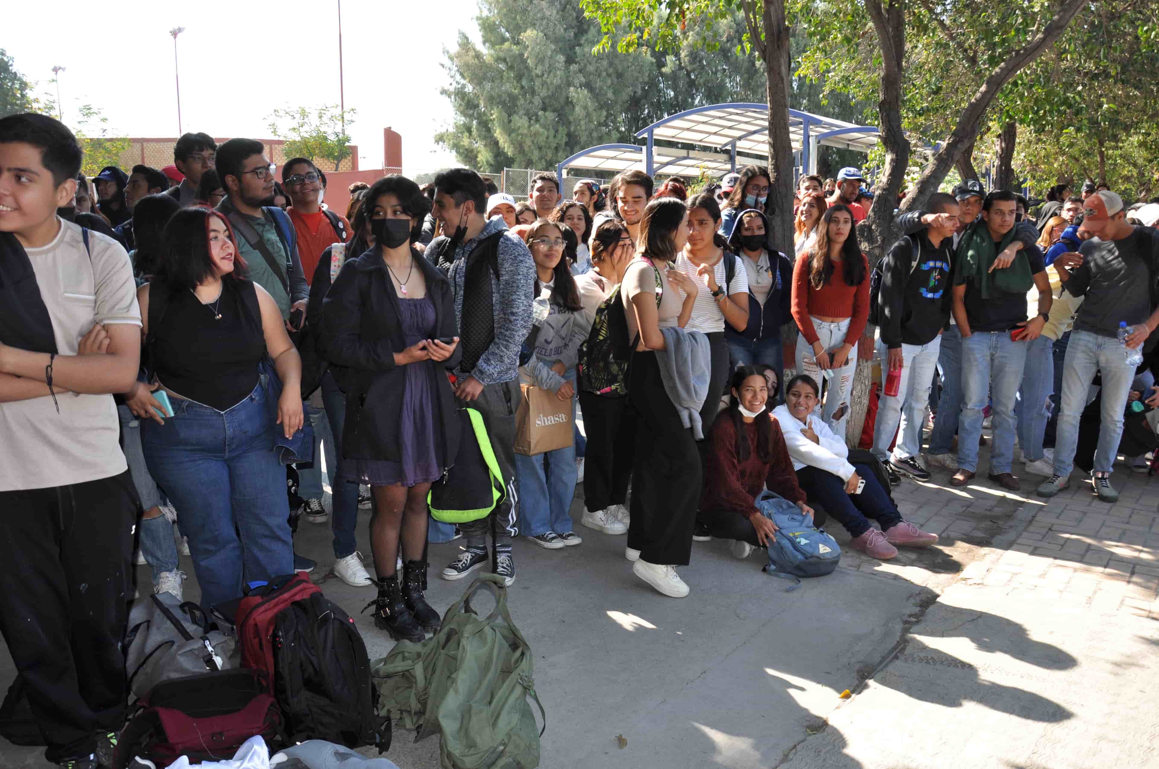Imagen 11 de artículo