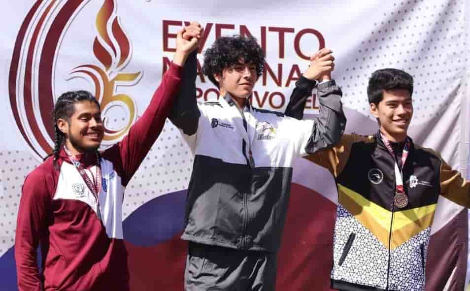 Imagen 5 de artículo