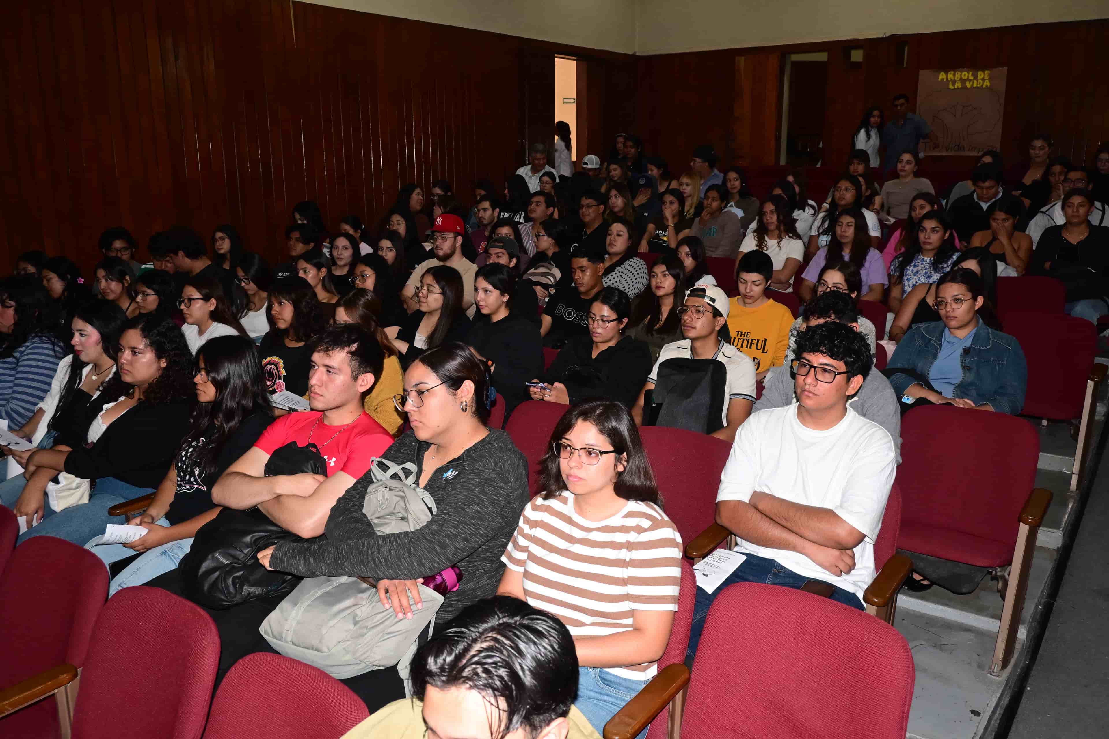 Imagen 4 de artículo
