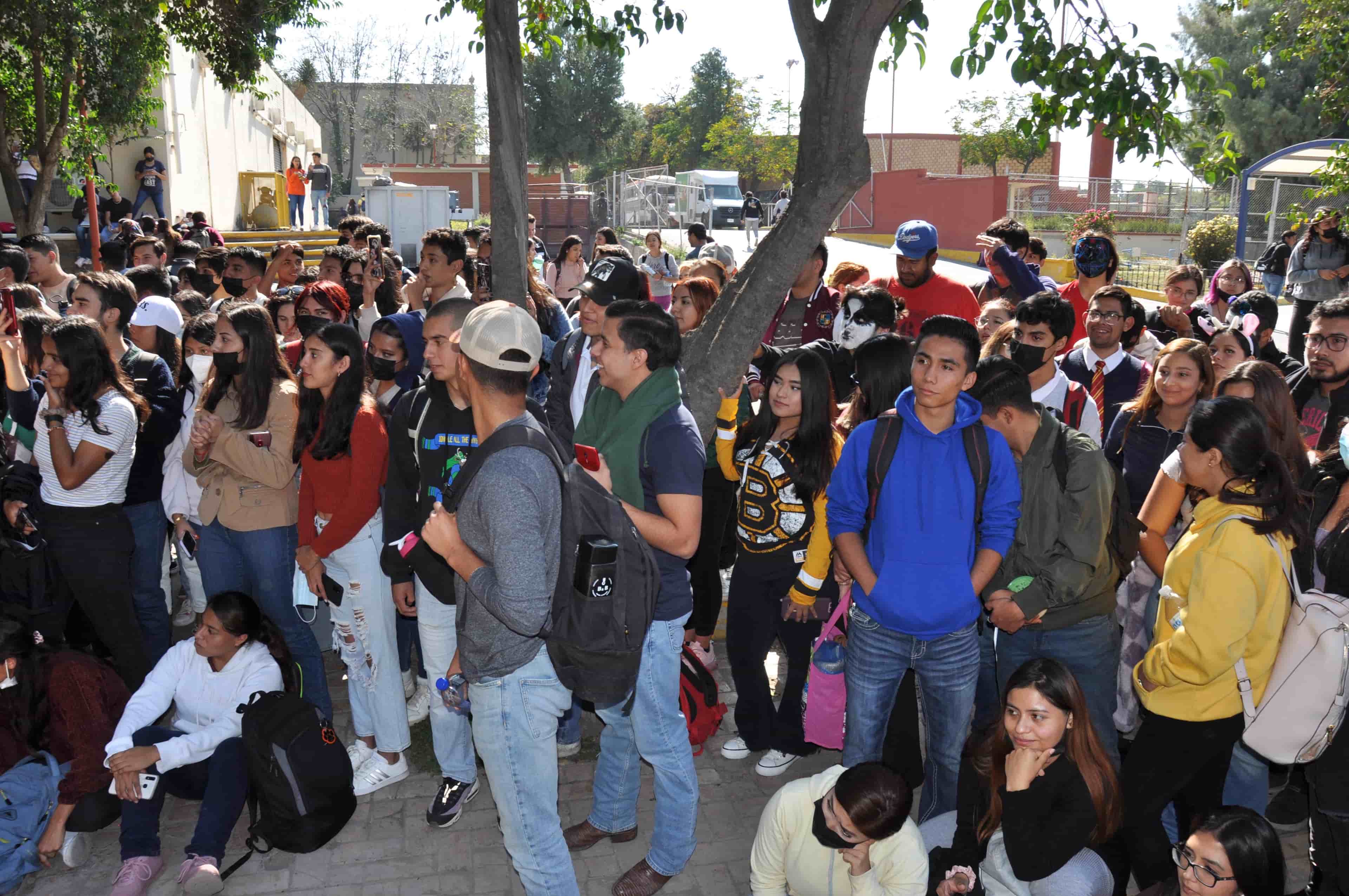Imagen 16 de artículo