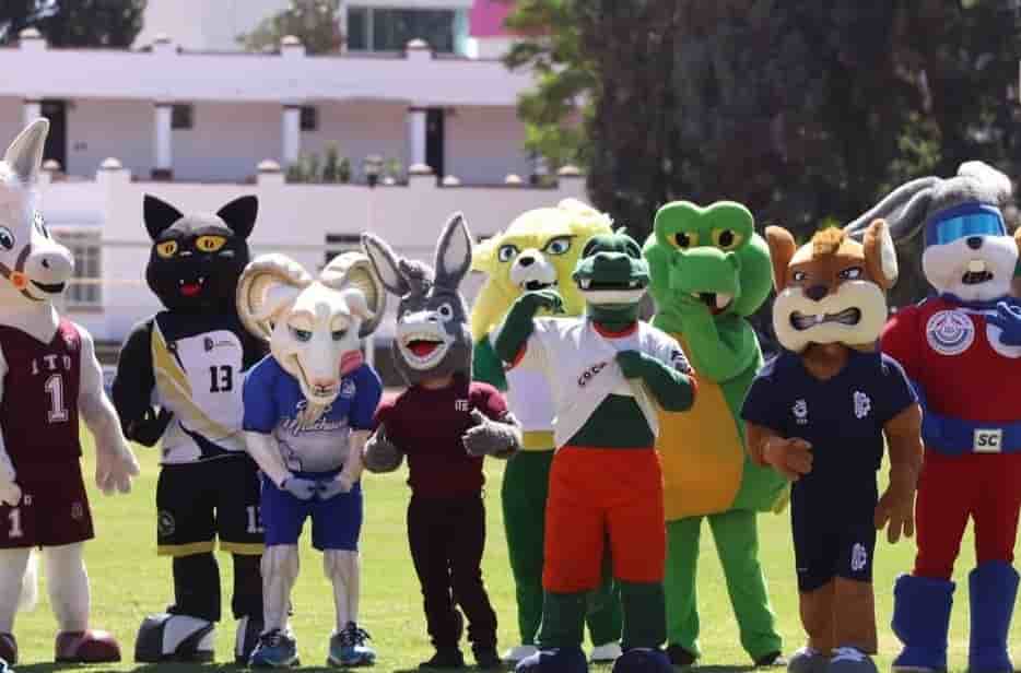 Imagen 4 de artículo
