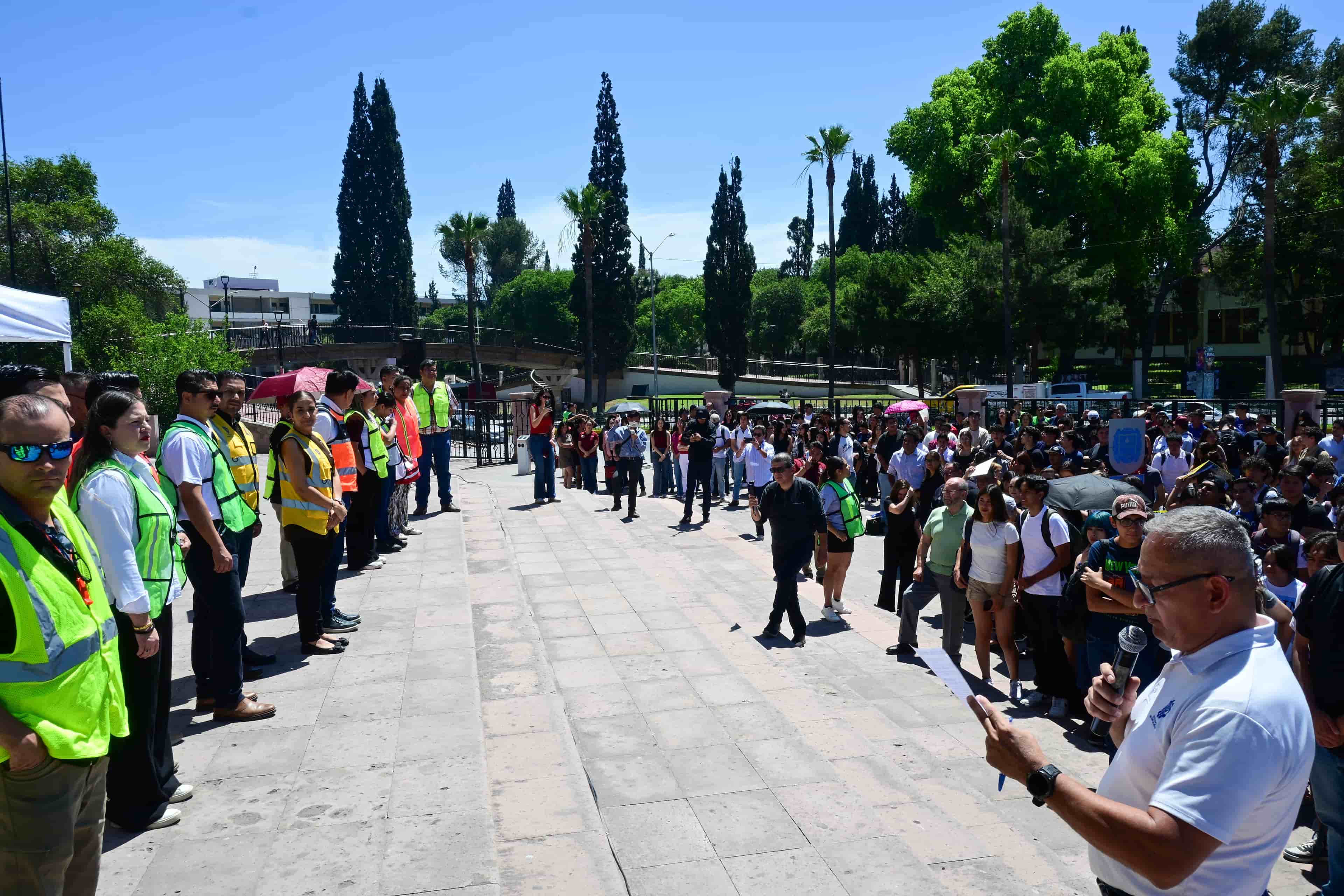 Imagen 7 de artículo
