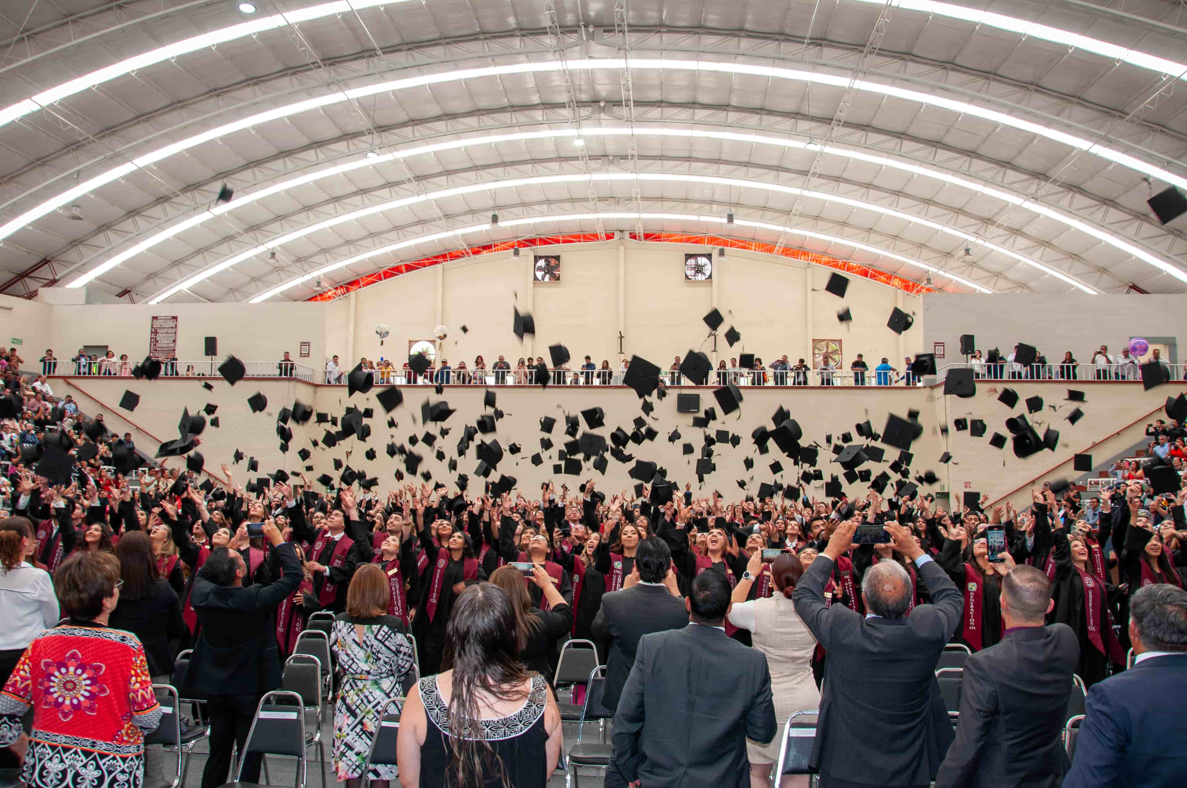 Imagen 12 de artículo