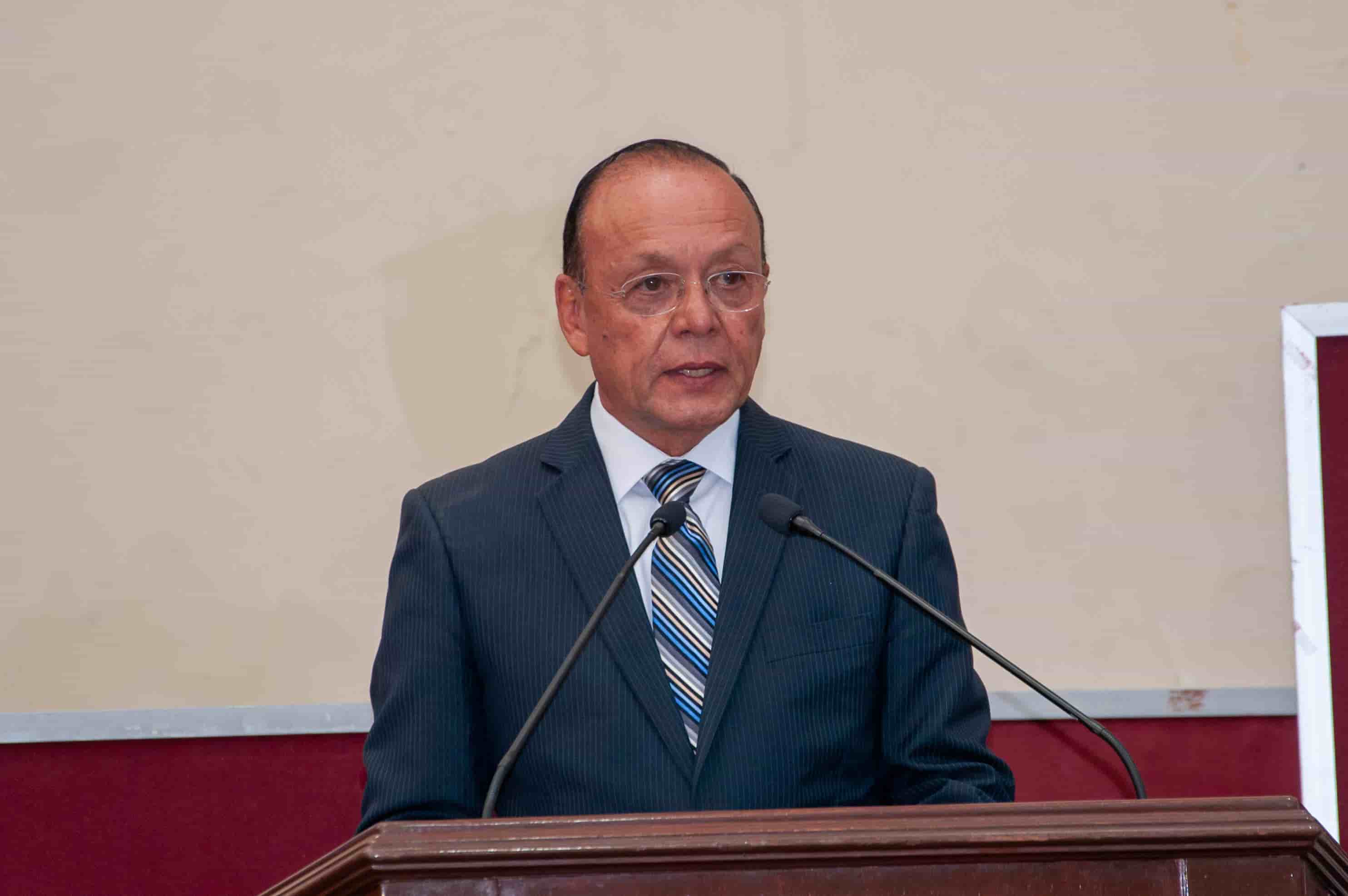 Imagen 13 de artículo