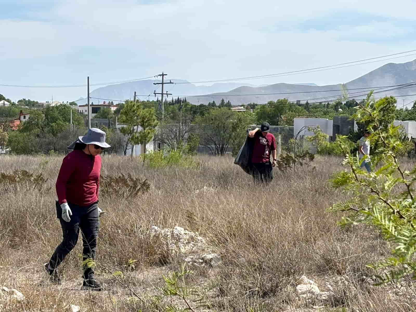 Imagen 12 de artículo