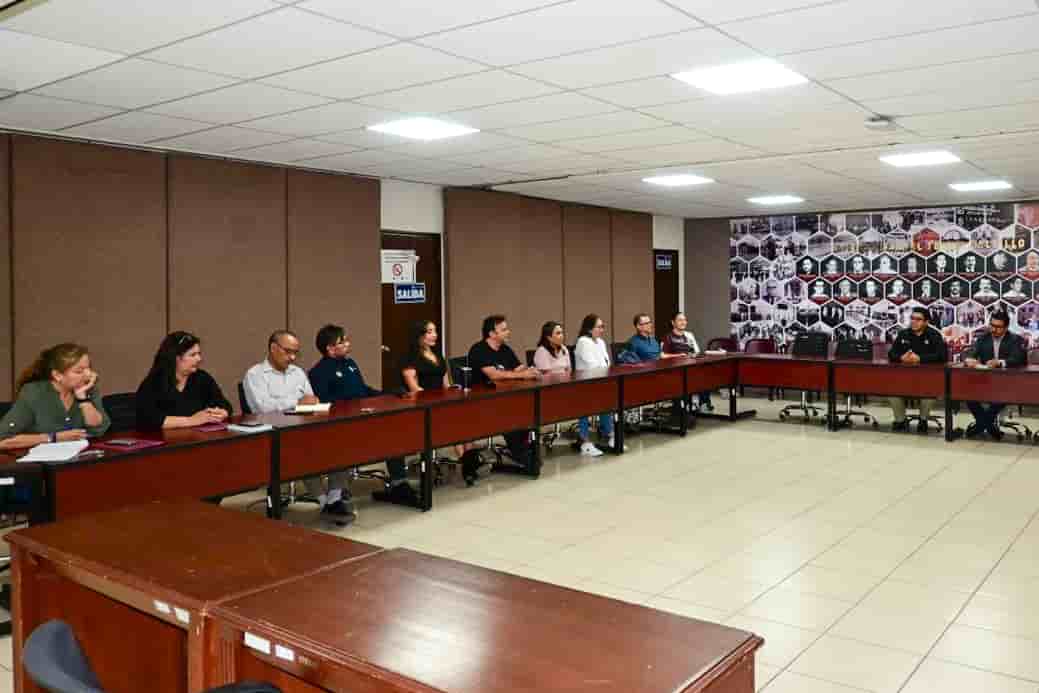 Imagen 5 de artículo