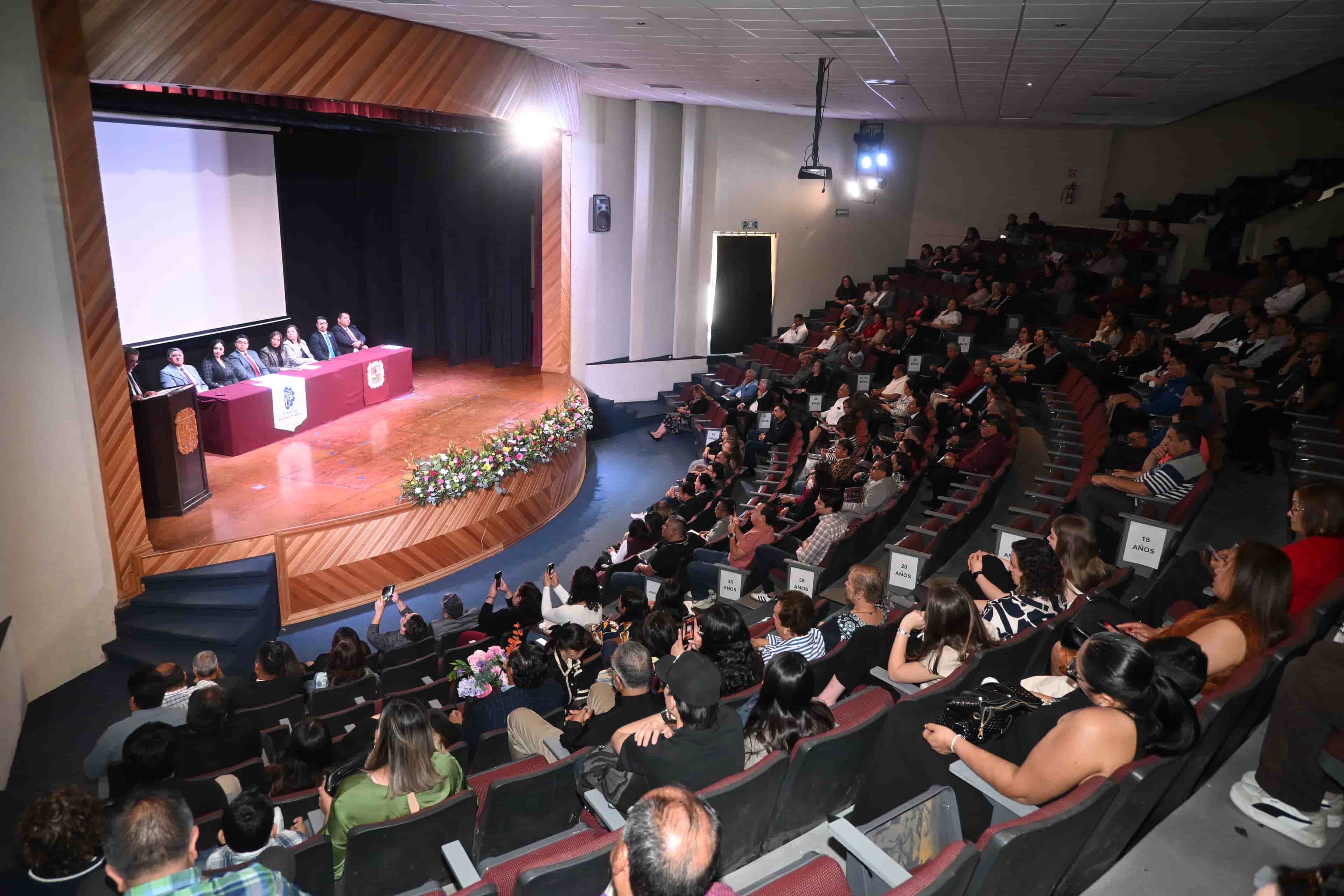Imagen 7 de artículo