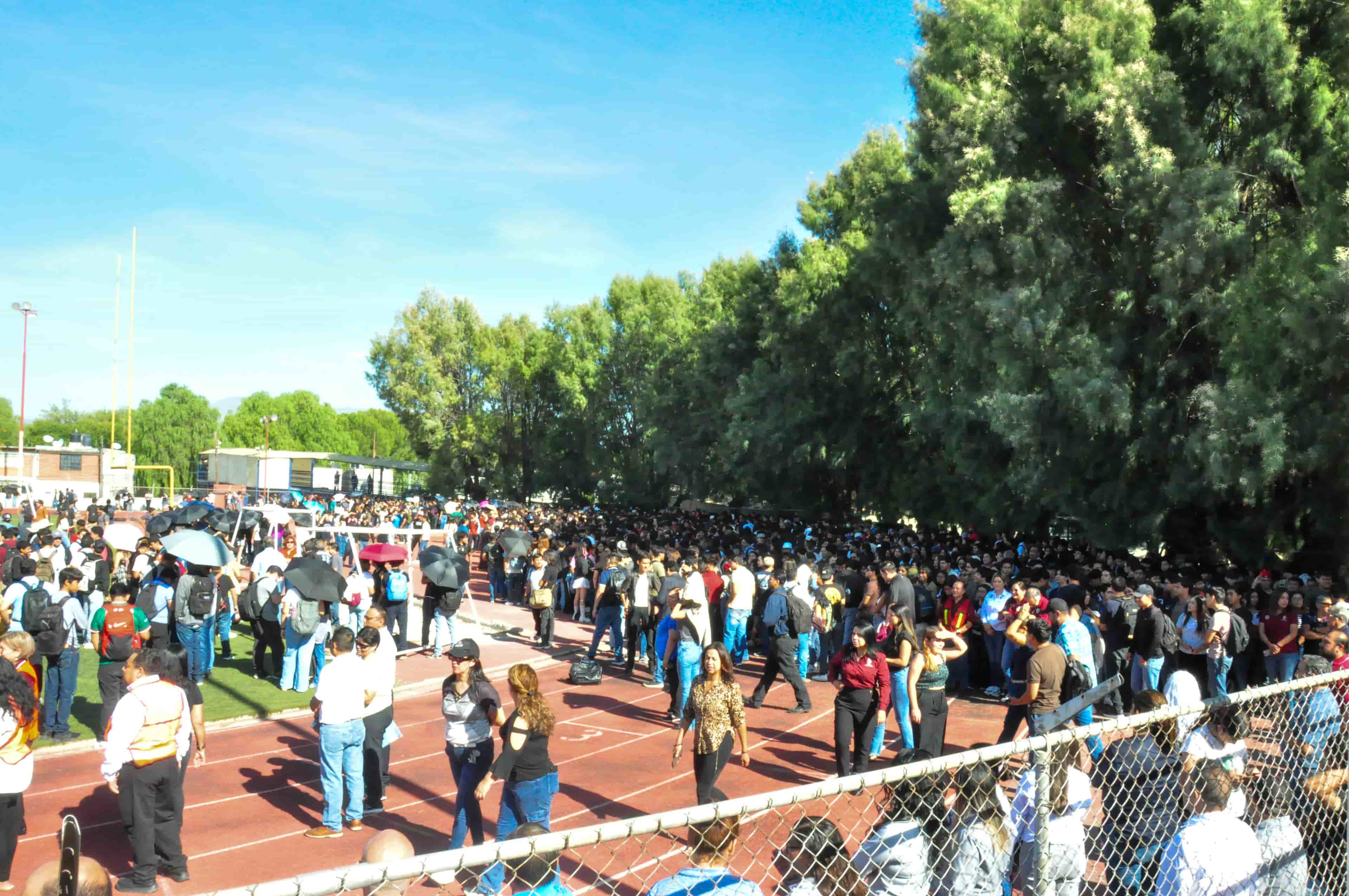 Imagen 11 de artículo