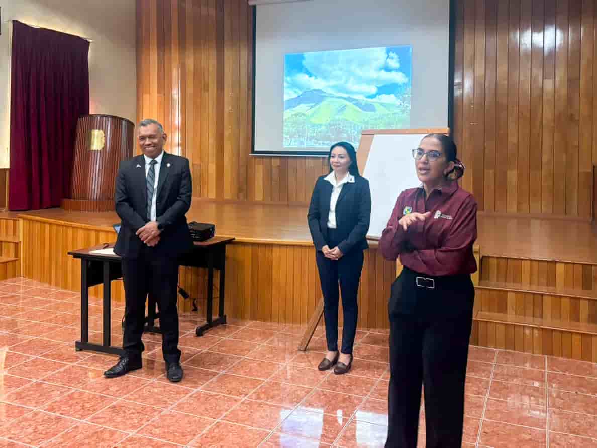 Imagen 7 de artículo