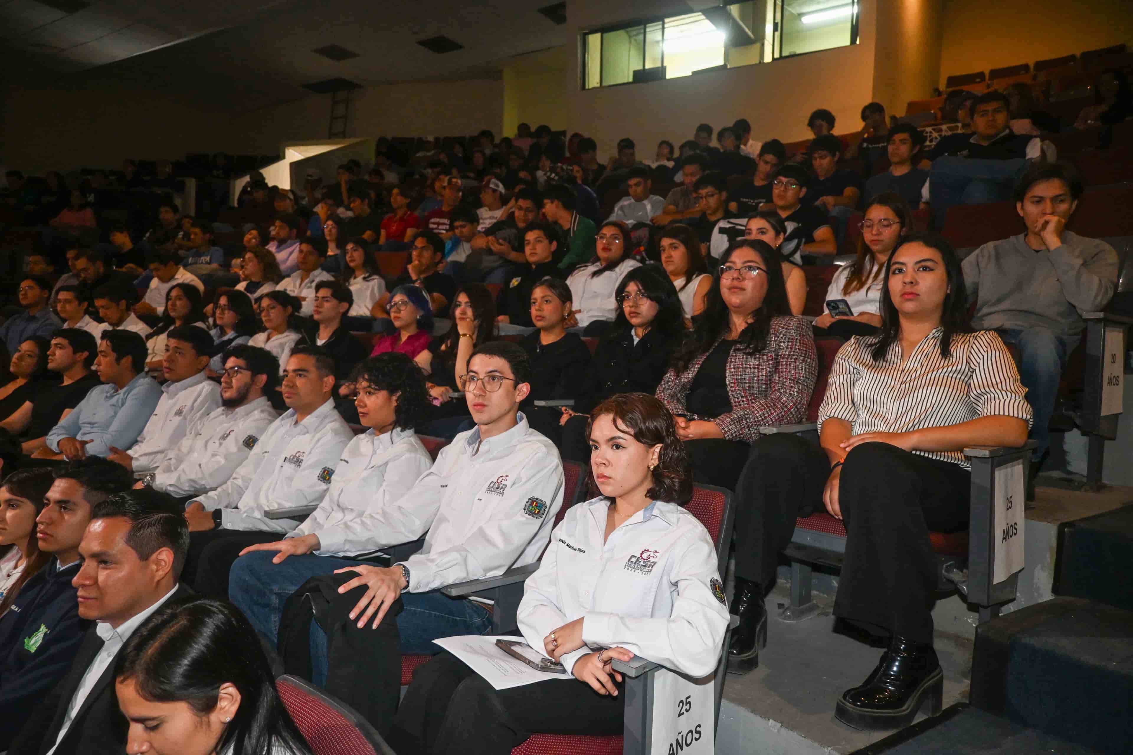 Imagen 5 de artículo