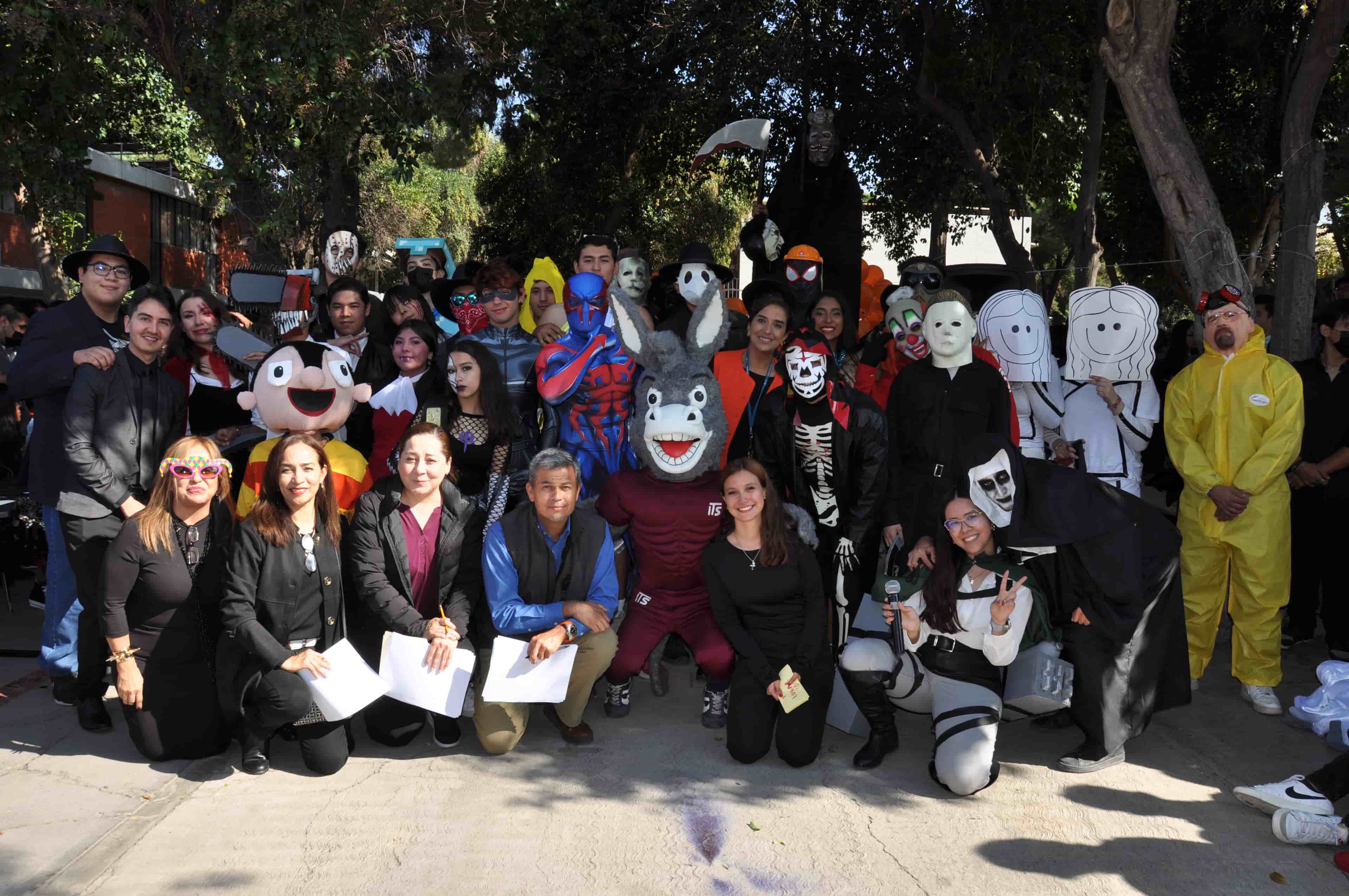 Imagen 17 de artículo