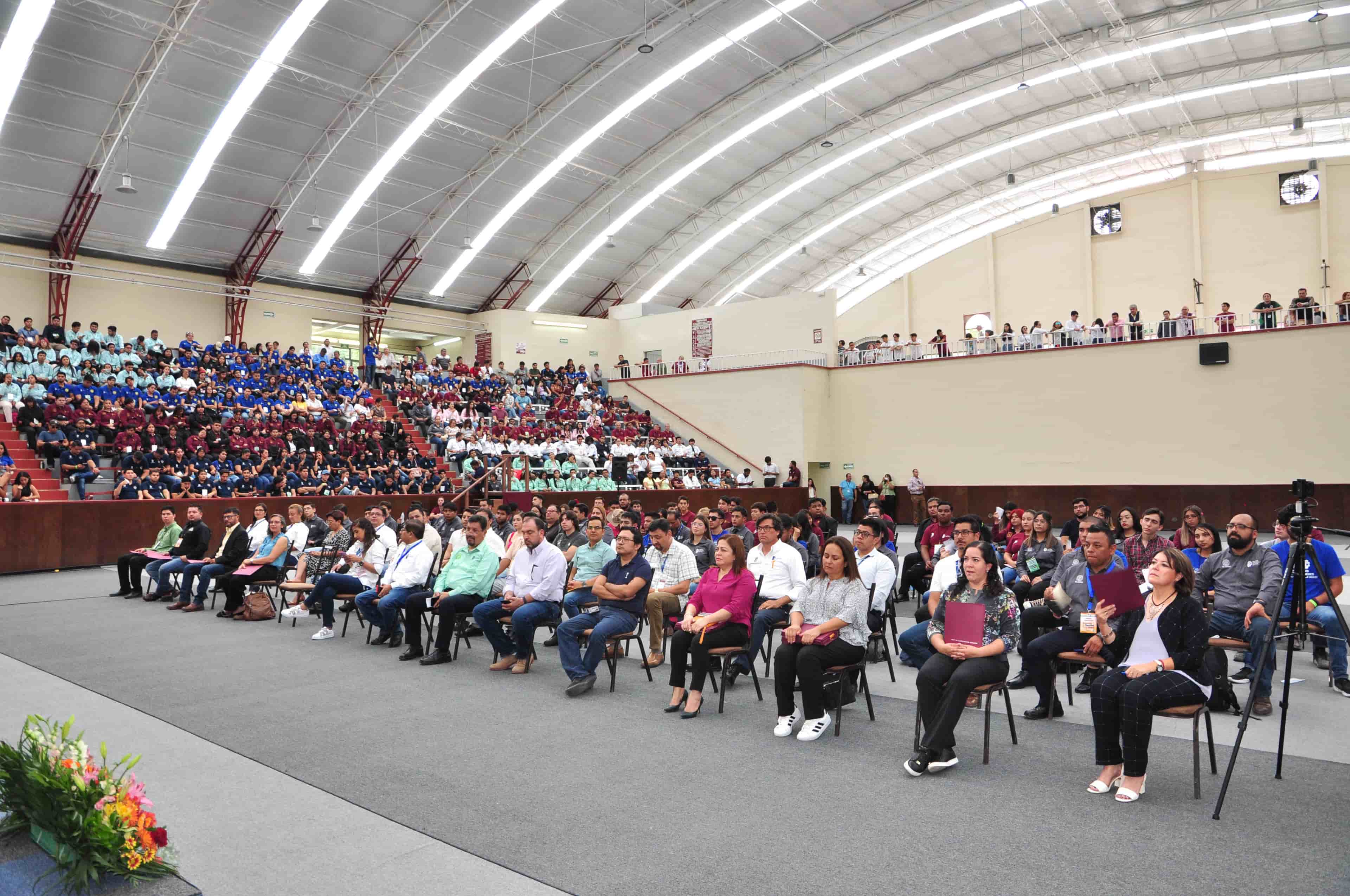 Imagen 4 de artículo