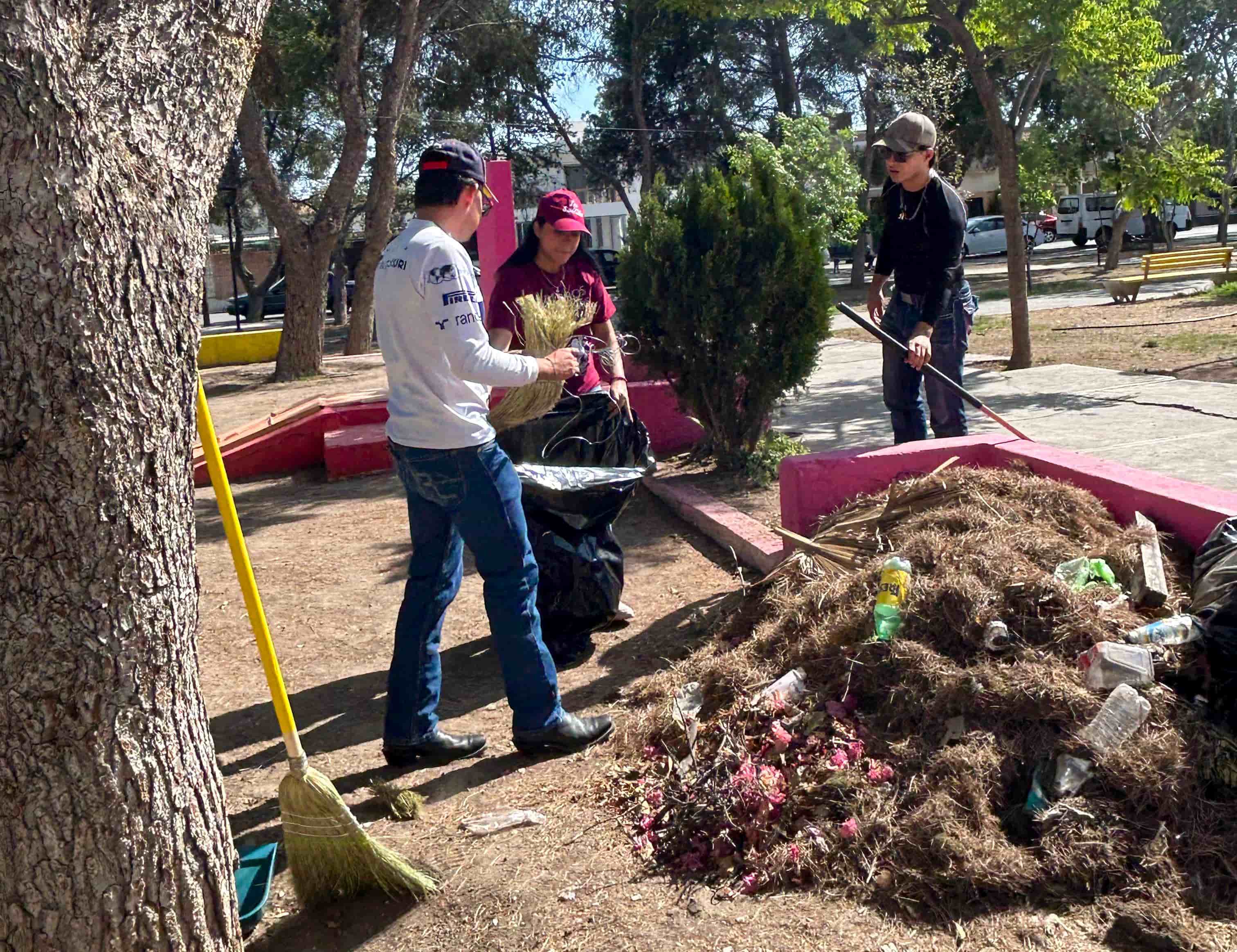Imagen 9 de artículo
