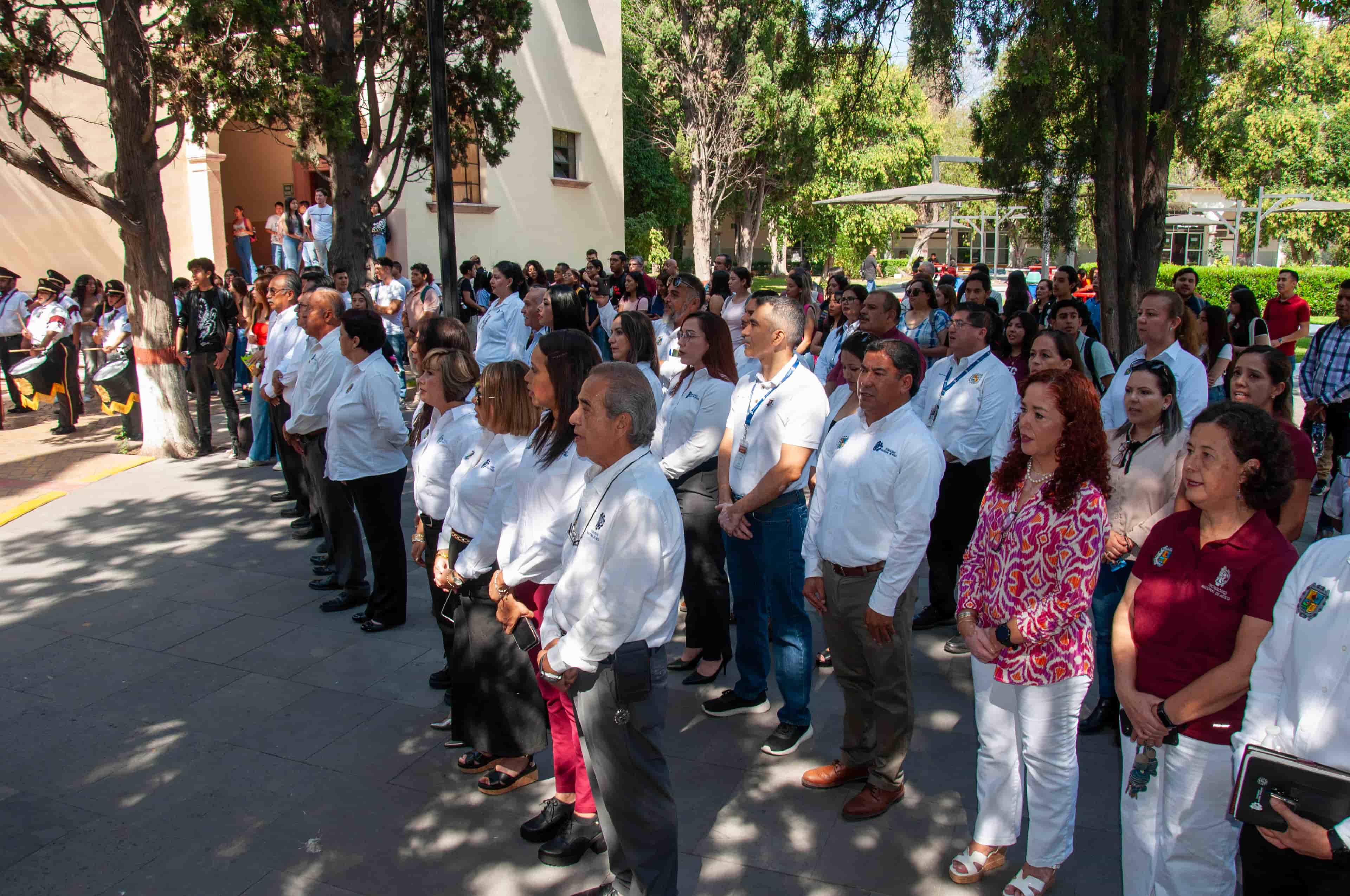 Imagen 3 de artículo