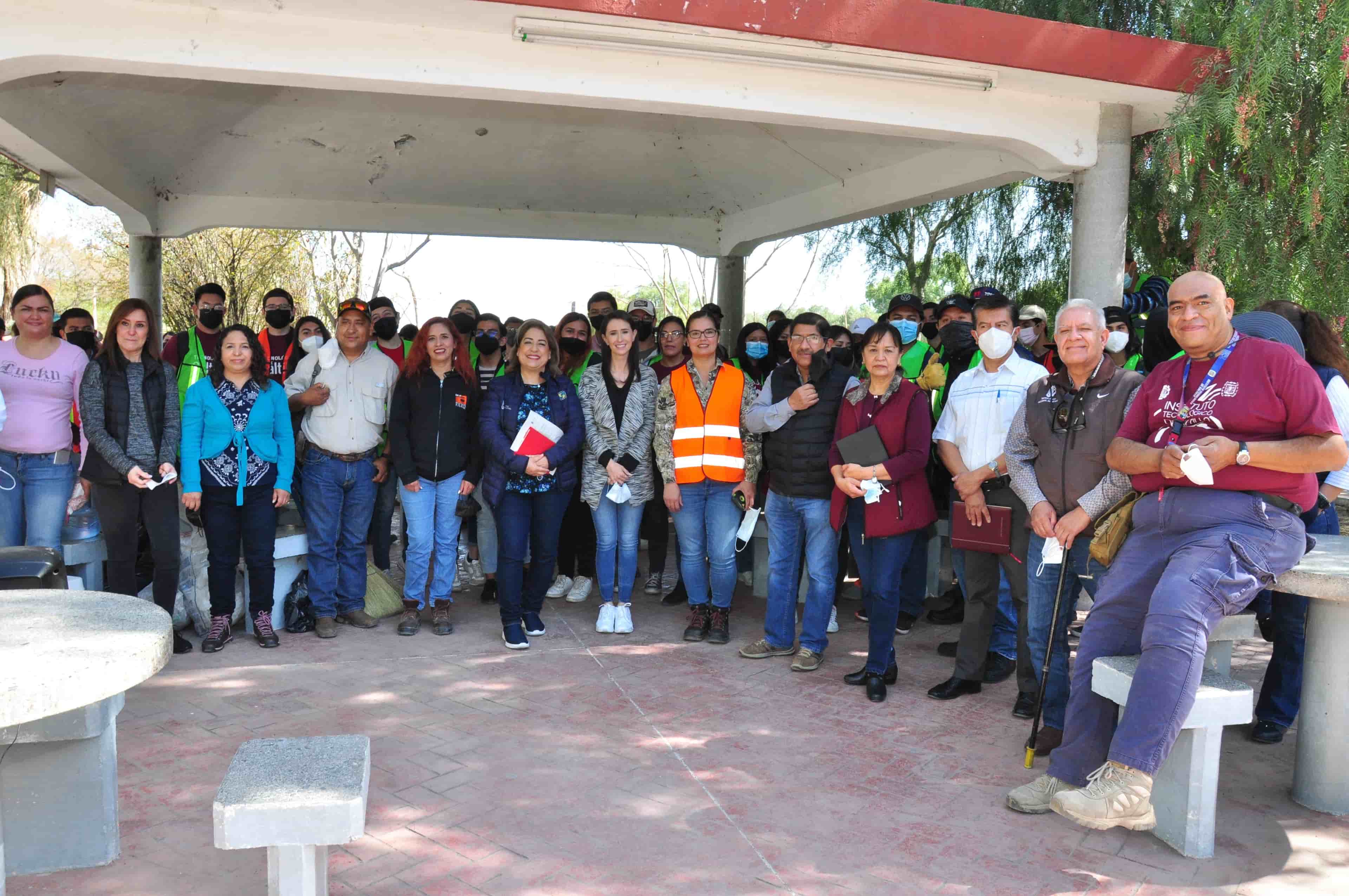 Imagen 3 de artículo