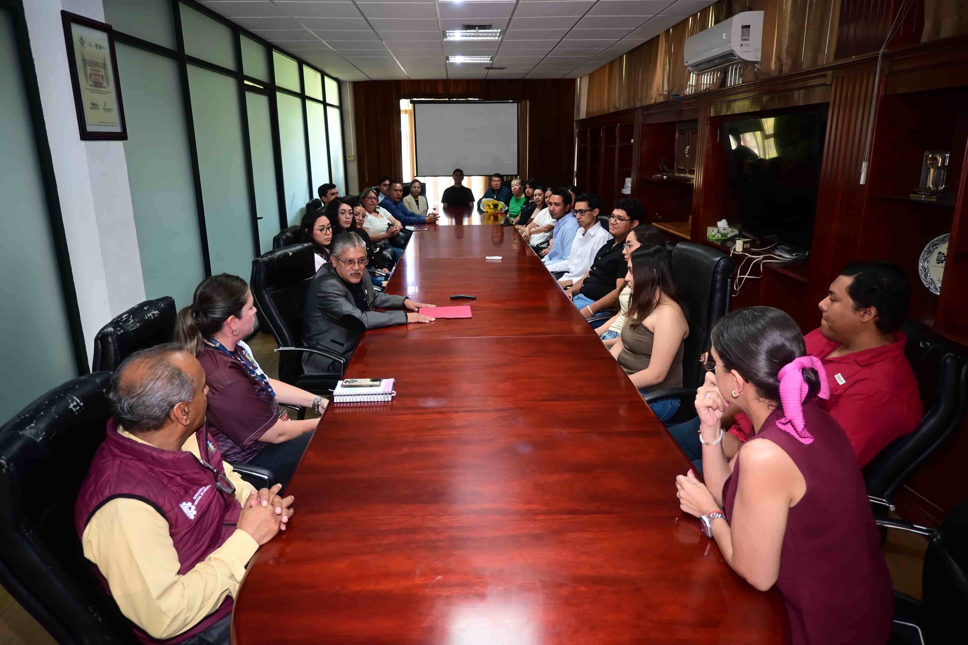 Imagen 1 de artículo