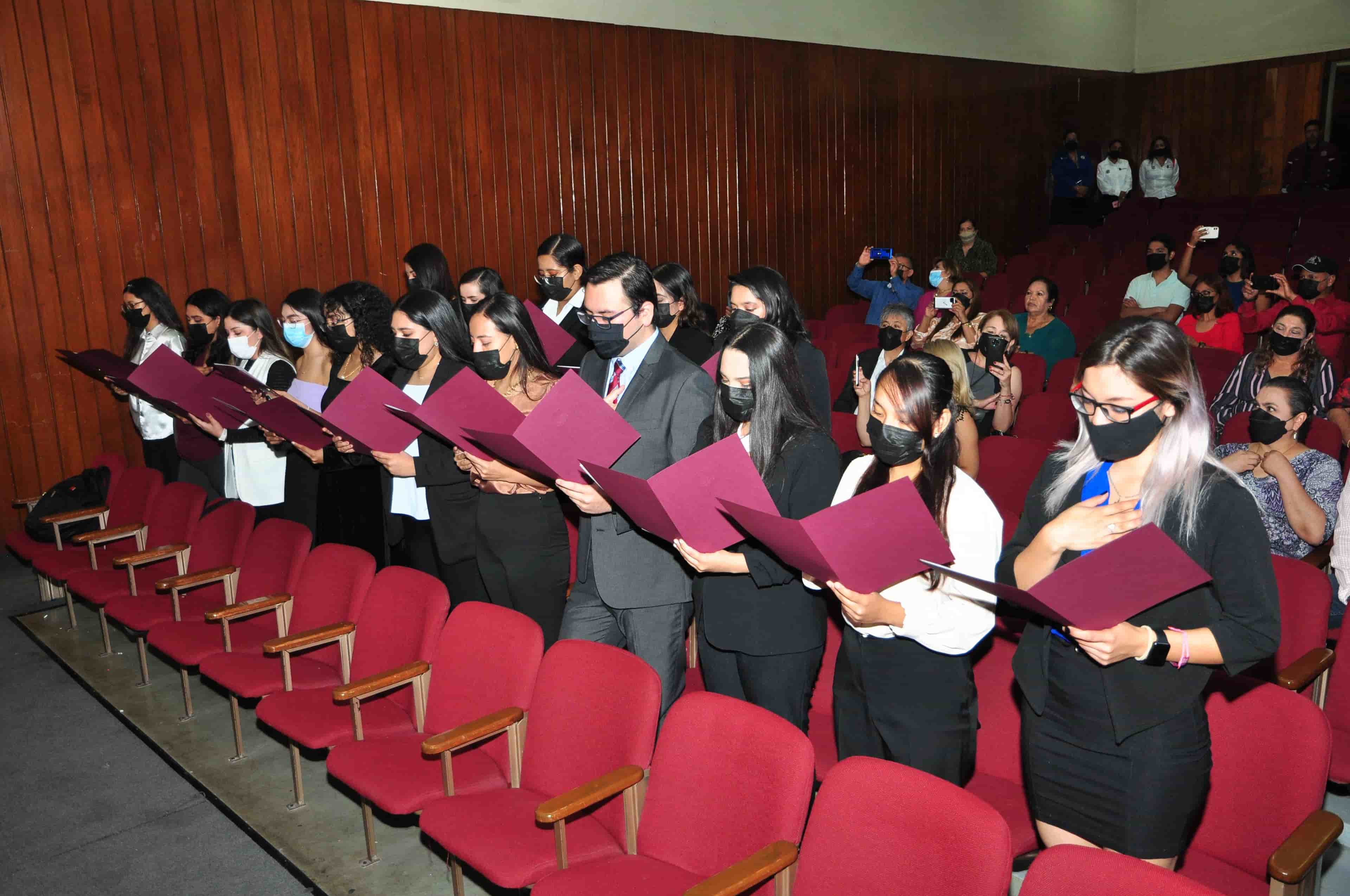 Imagen 1 de artículo