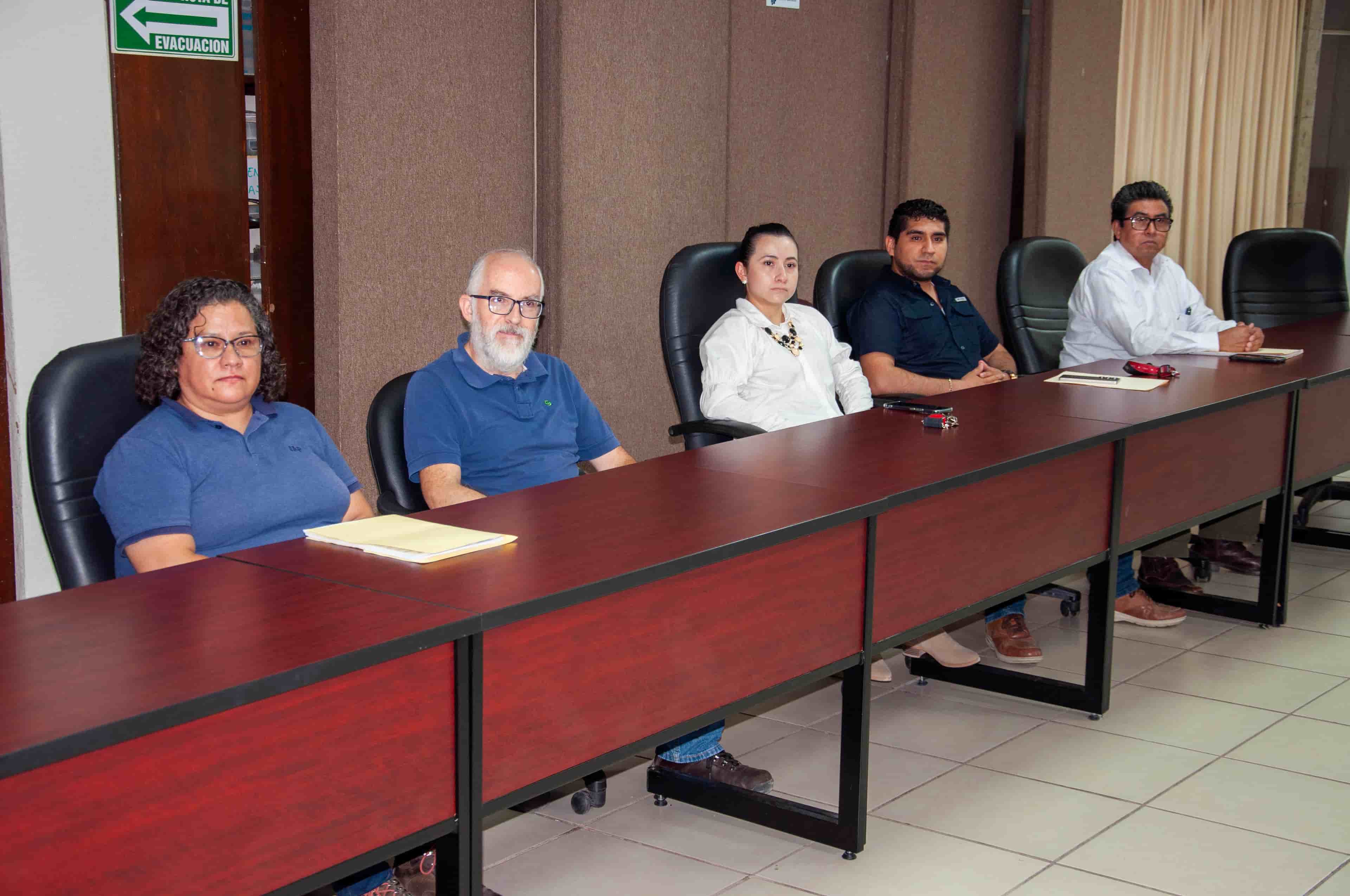Imagen 3 de artículo