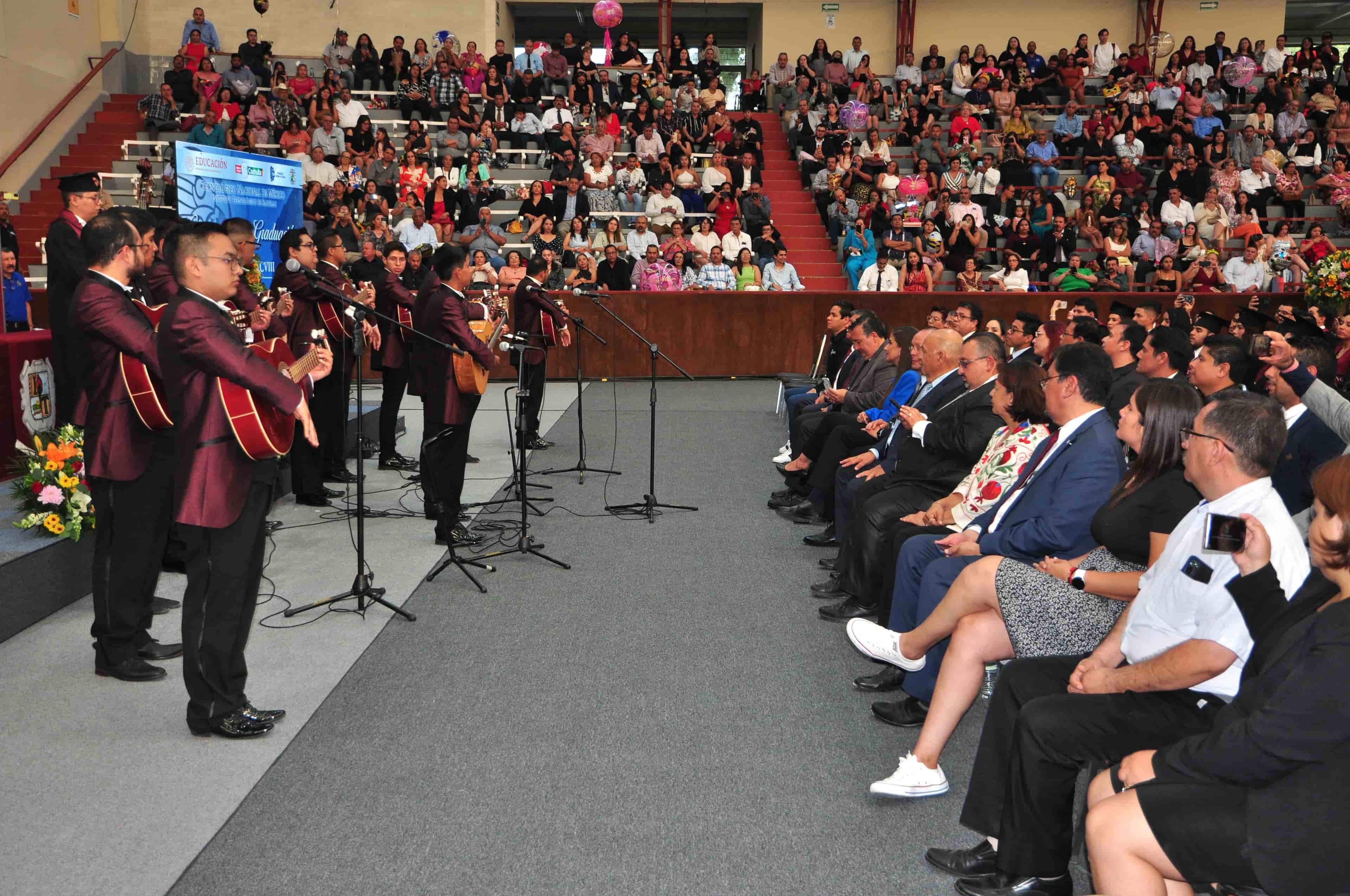 Imagen 15 de artículo