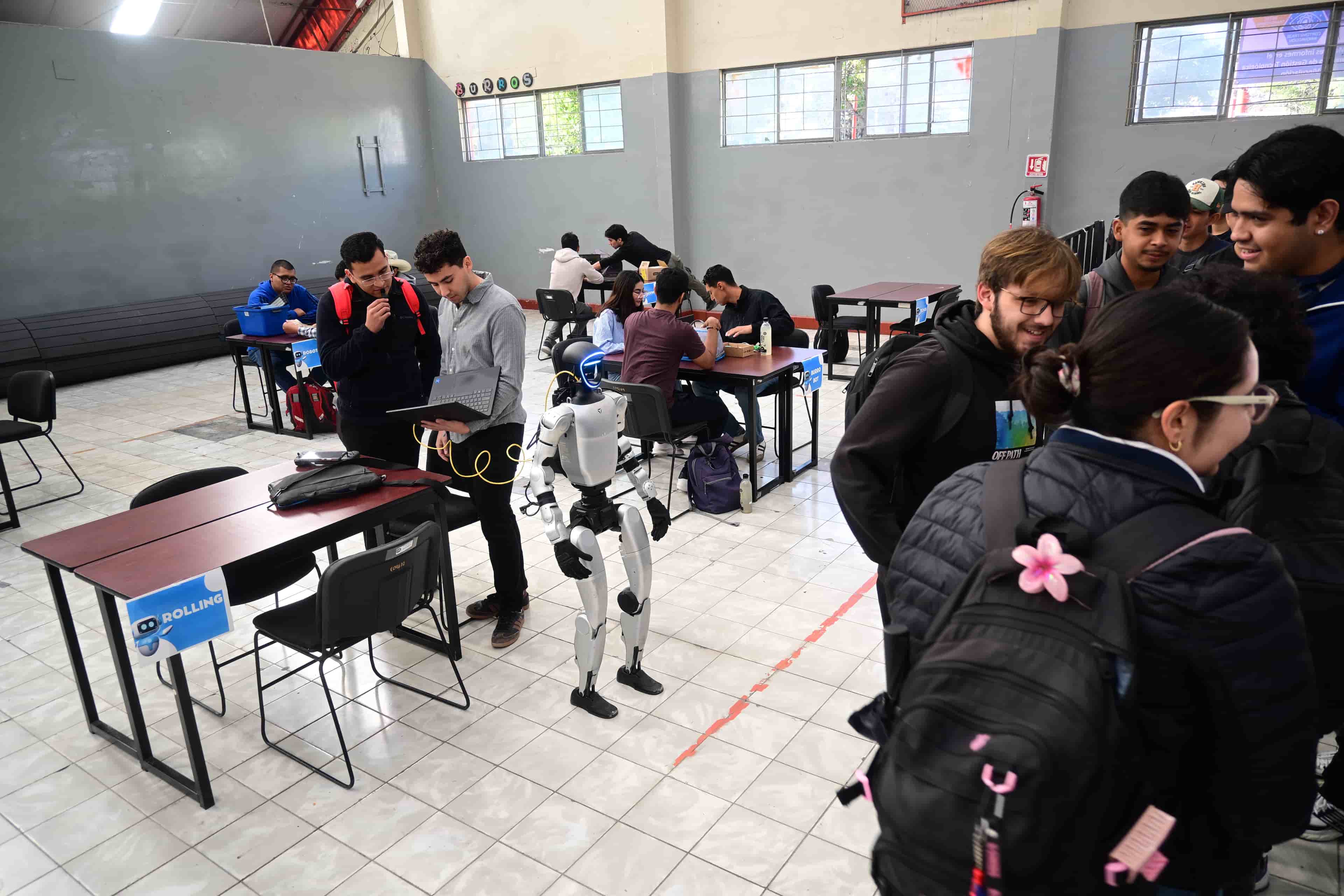 Imagen 8 de artículo