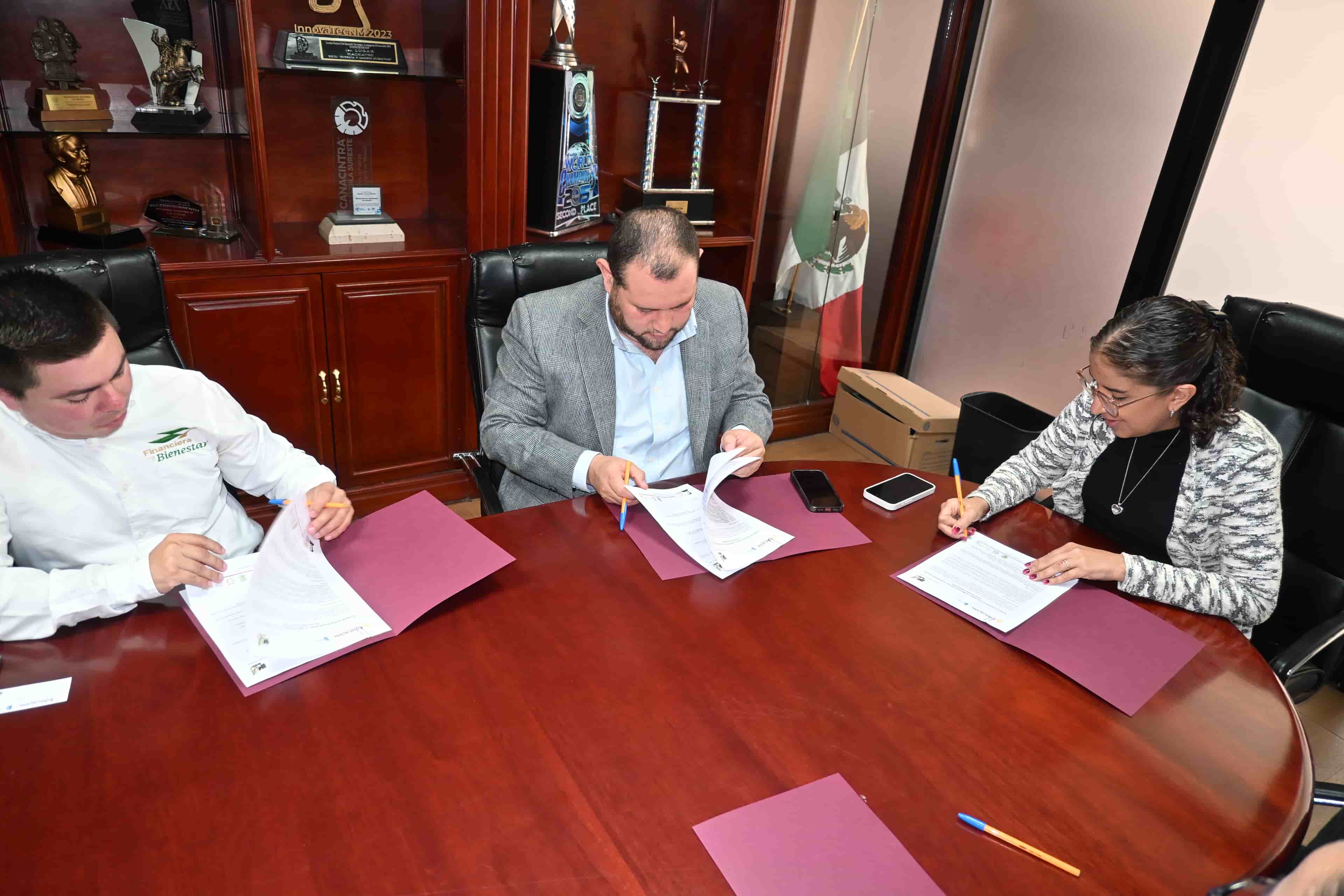 Imagen 1 de artículo