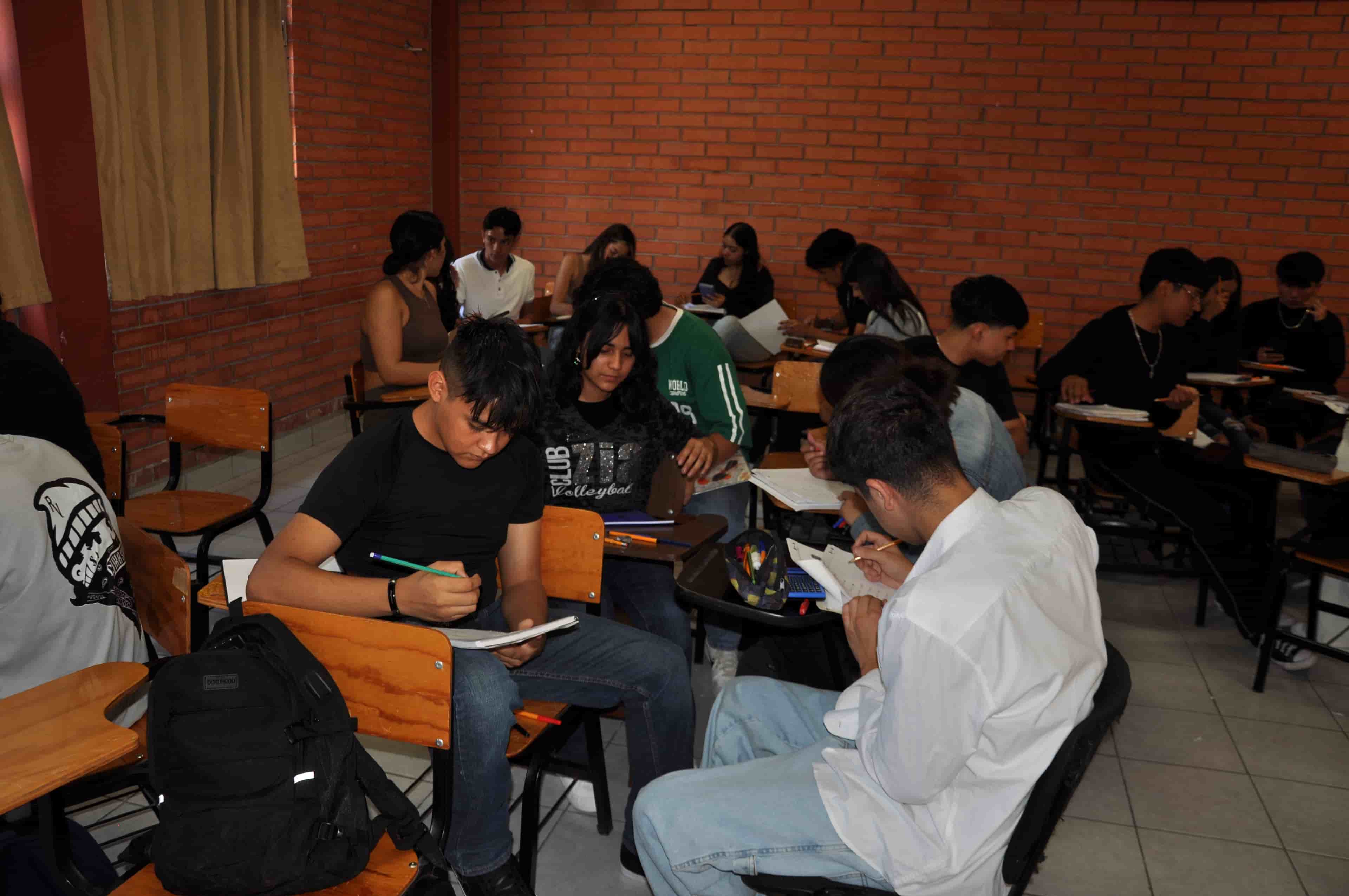 Imagen 13 de artículo