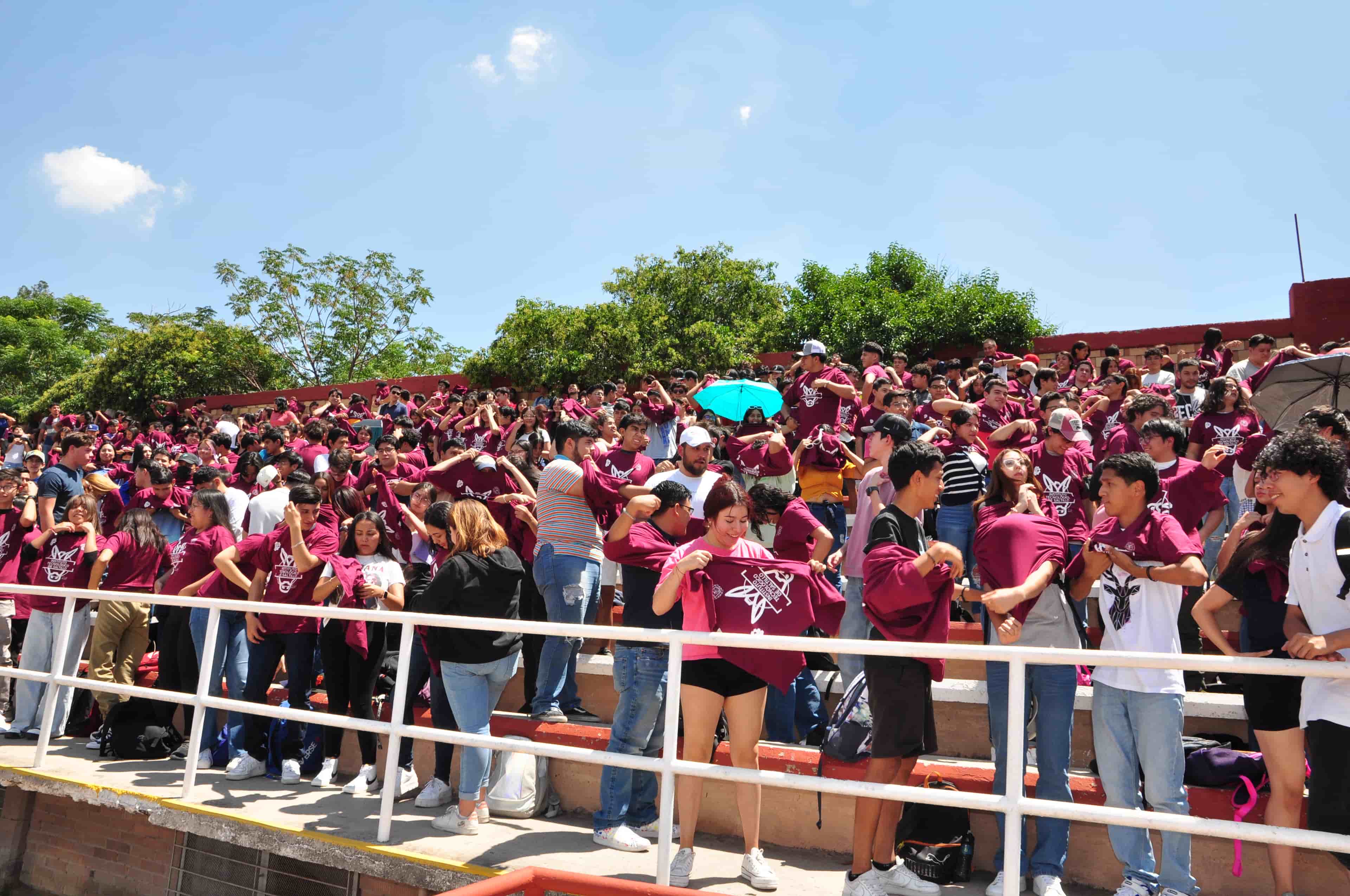 Imagen 5 de artículo