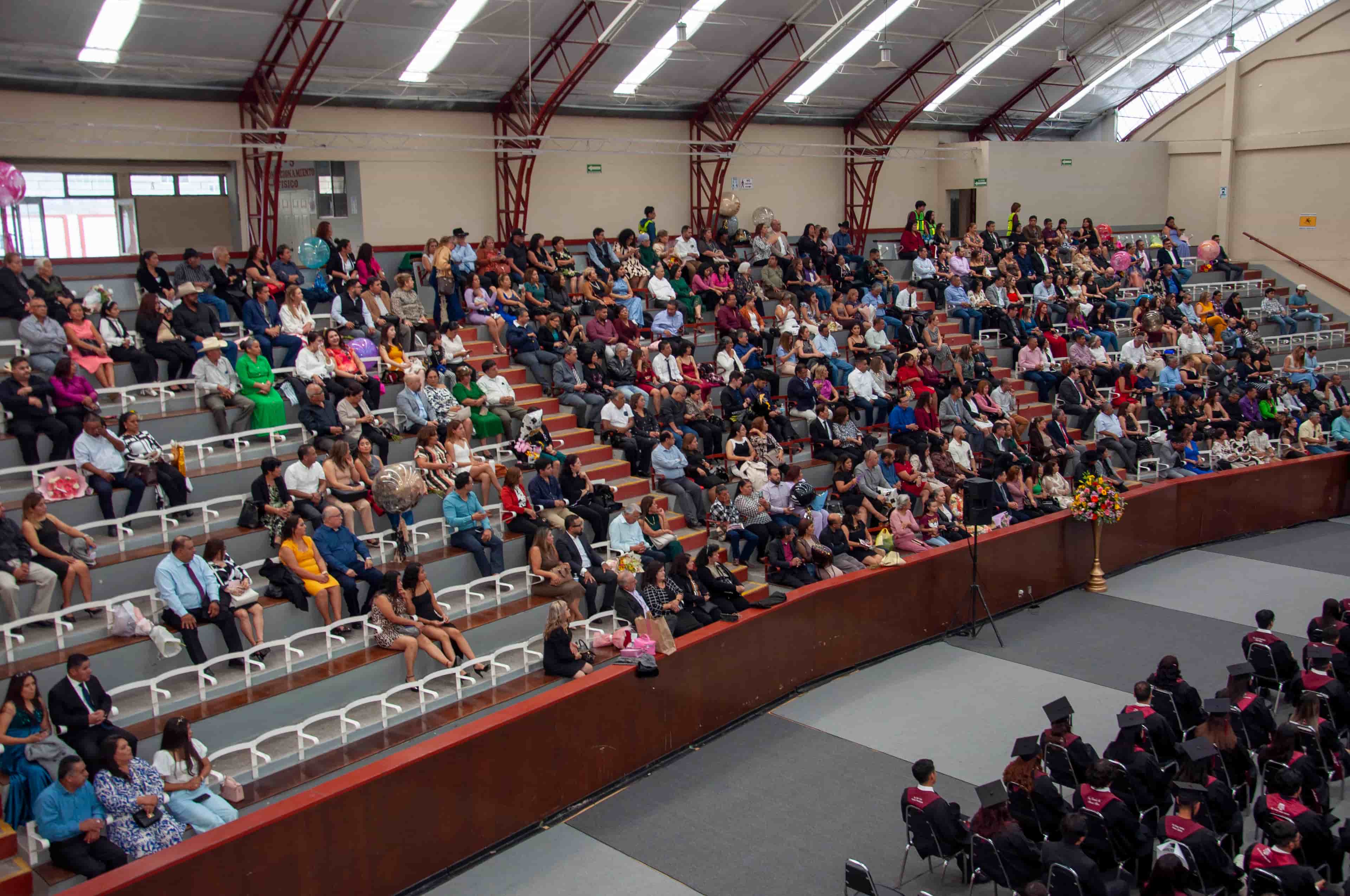 Imagen 11 de artículo