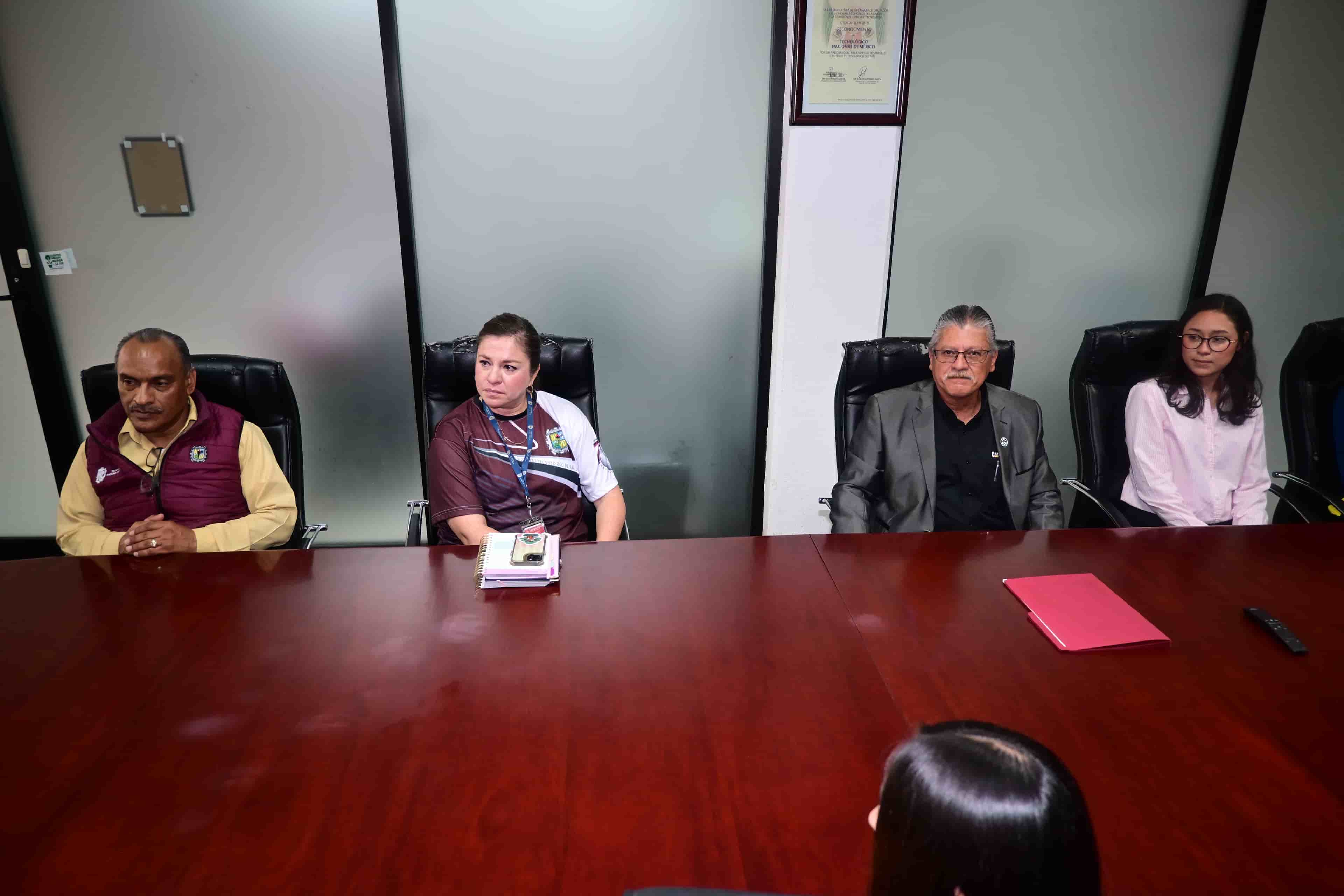 Imagen 5 de artículo