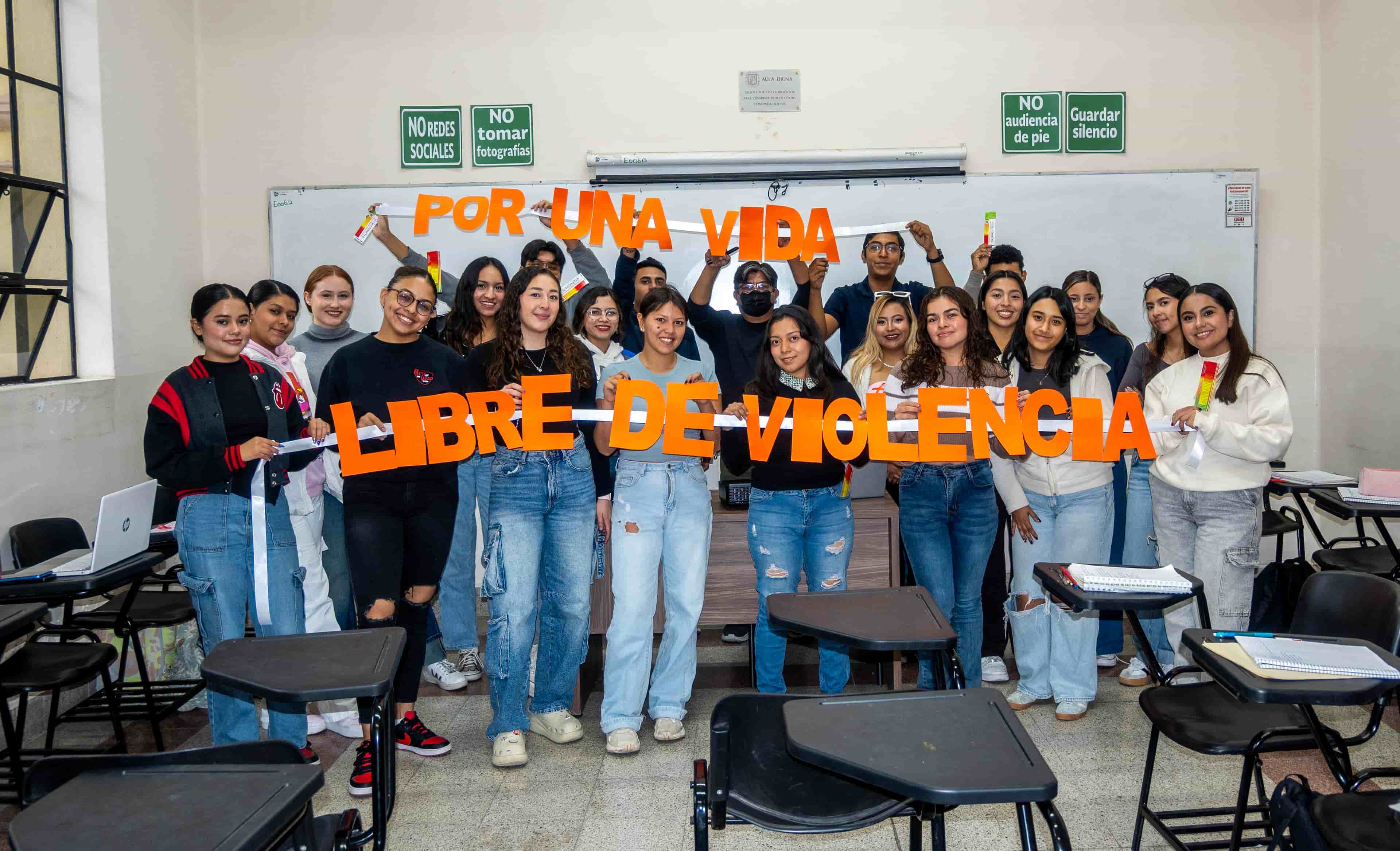 Imagen 8 de artículo