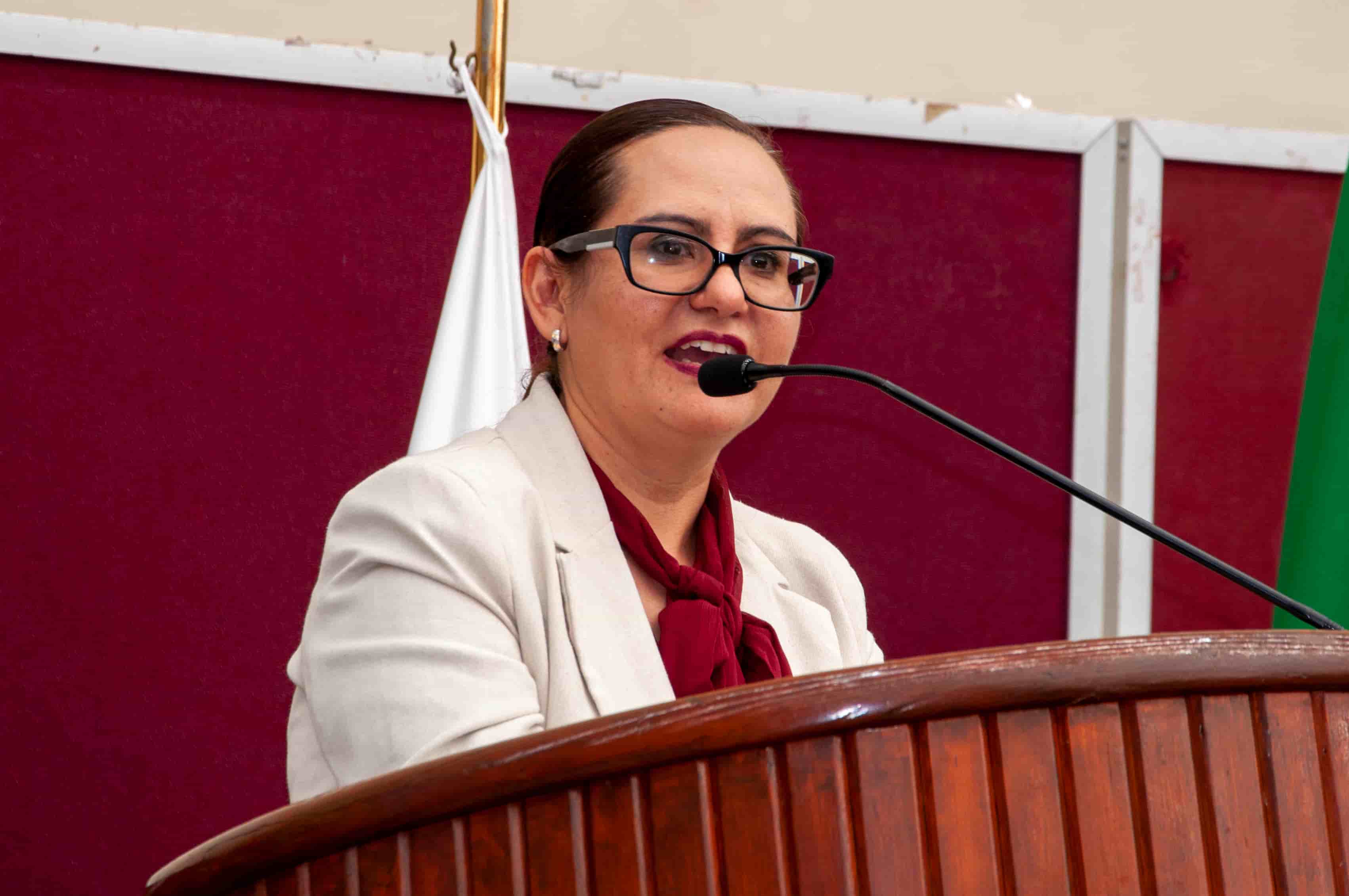 Imagen 8 de artículo