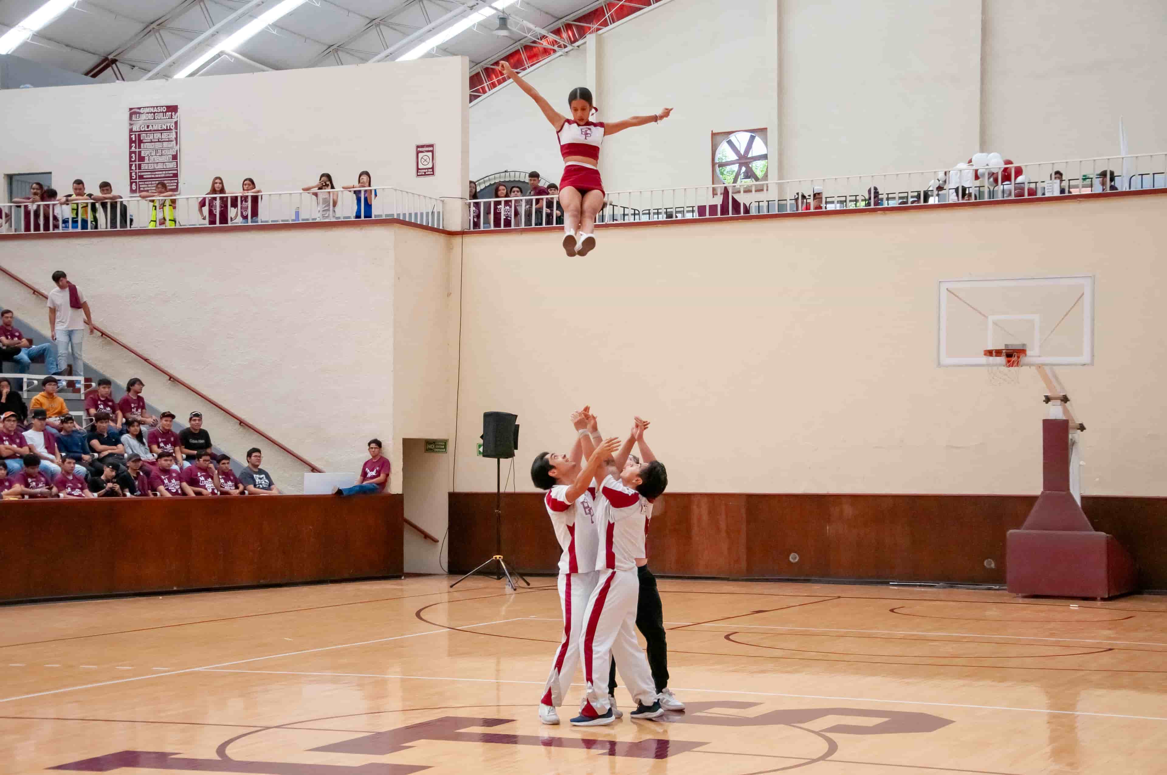 Imagen 19 de artículo